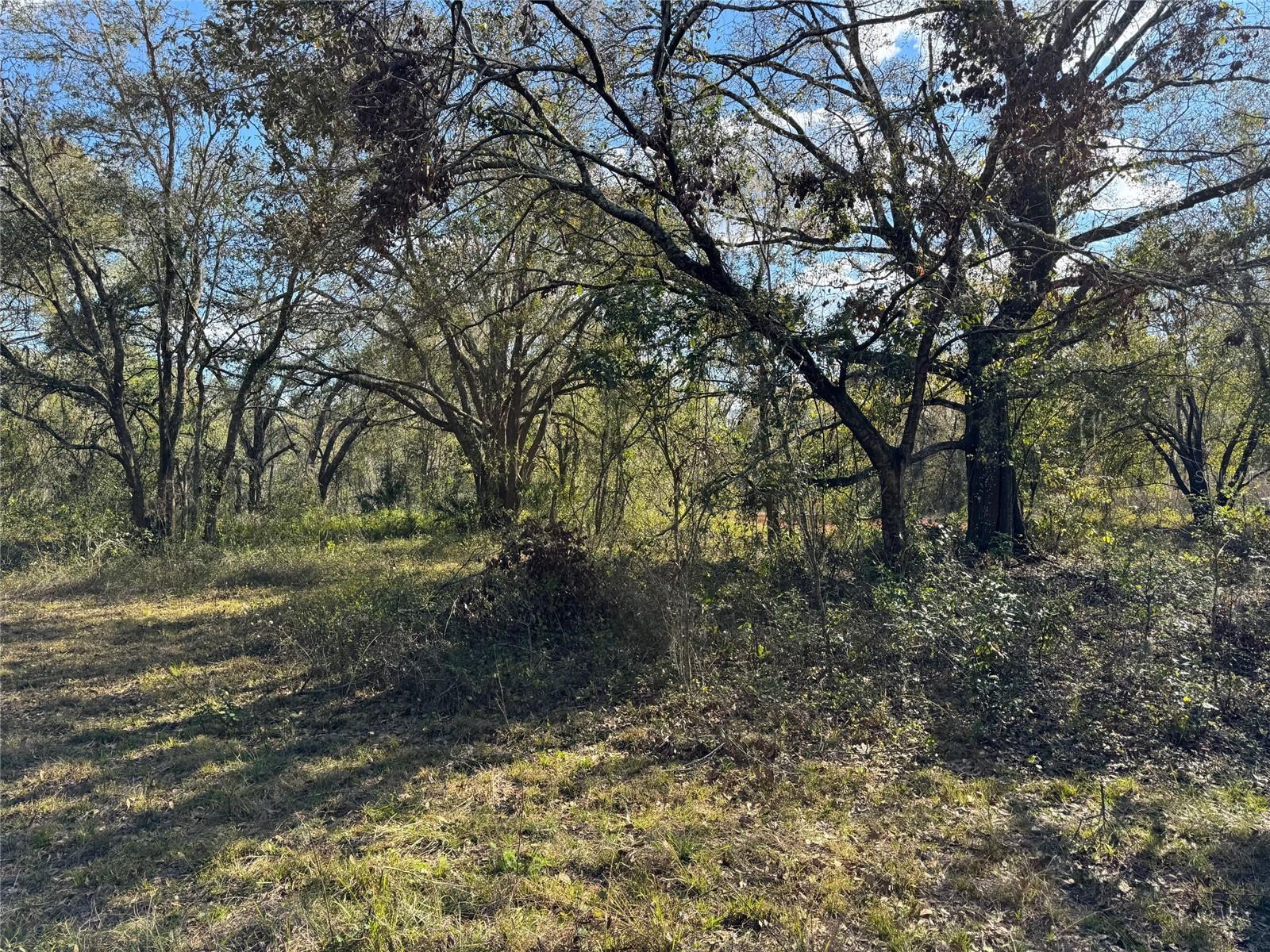3705 JERRY SMITH RD