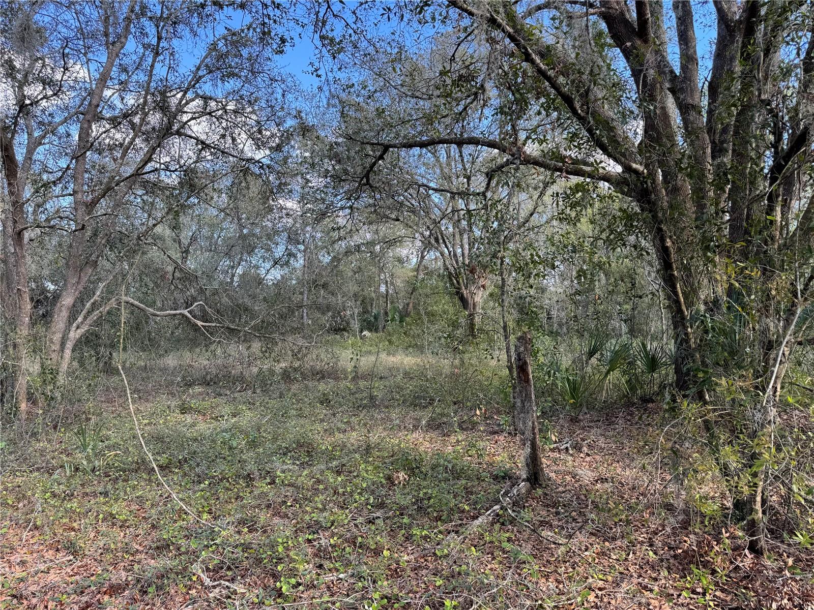 3705 JERRY SMITH RD