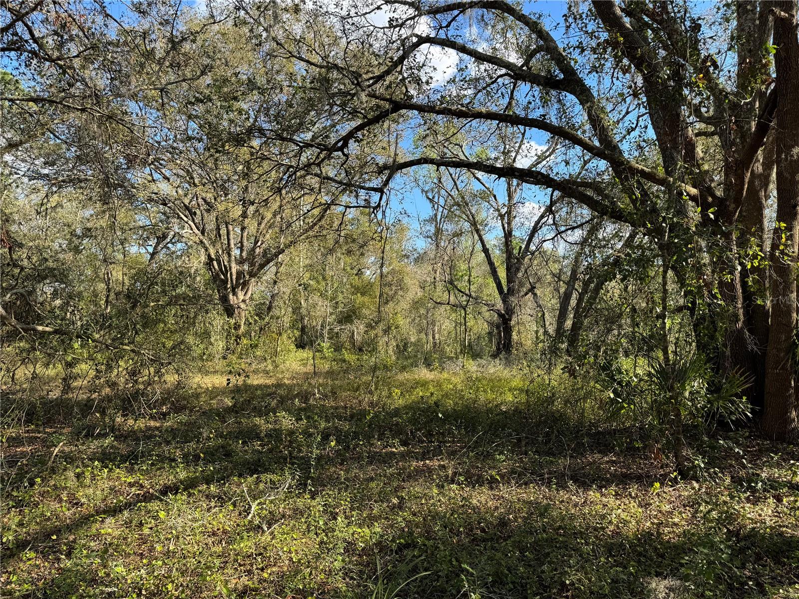 3705 JERRY SMITH RD