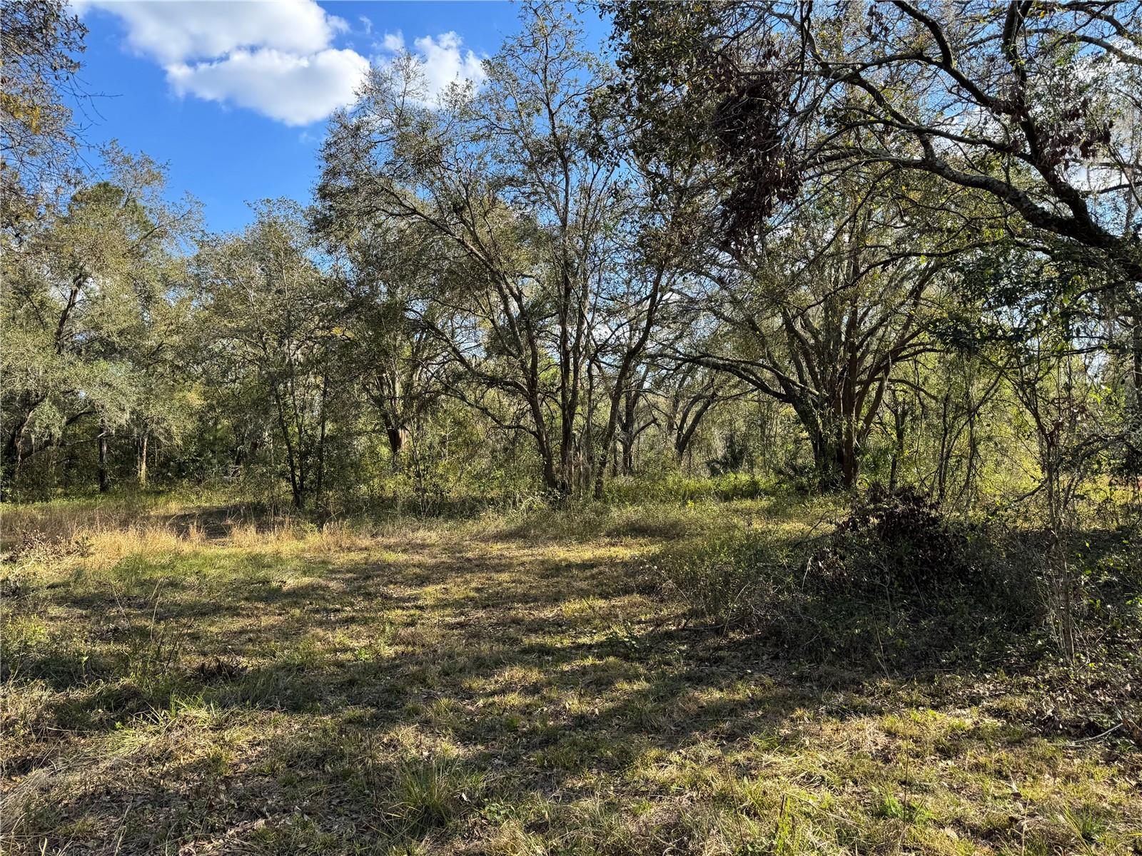 3705 JERRY SMITH RD