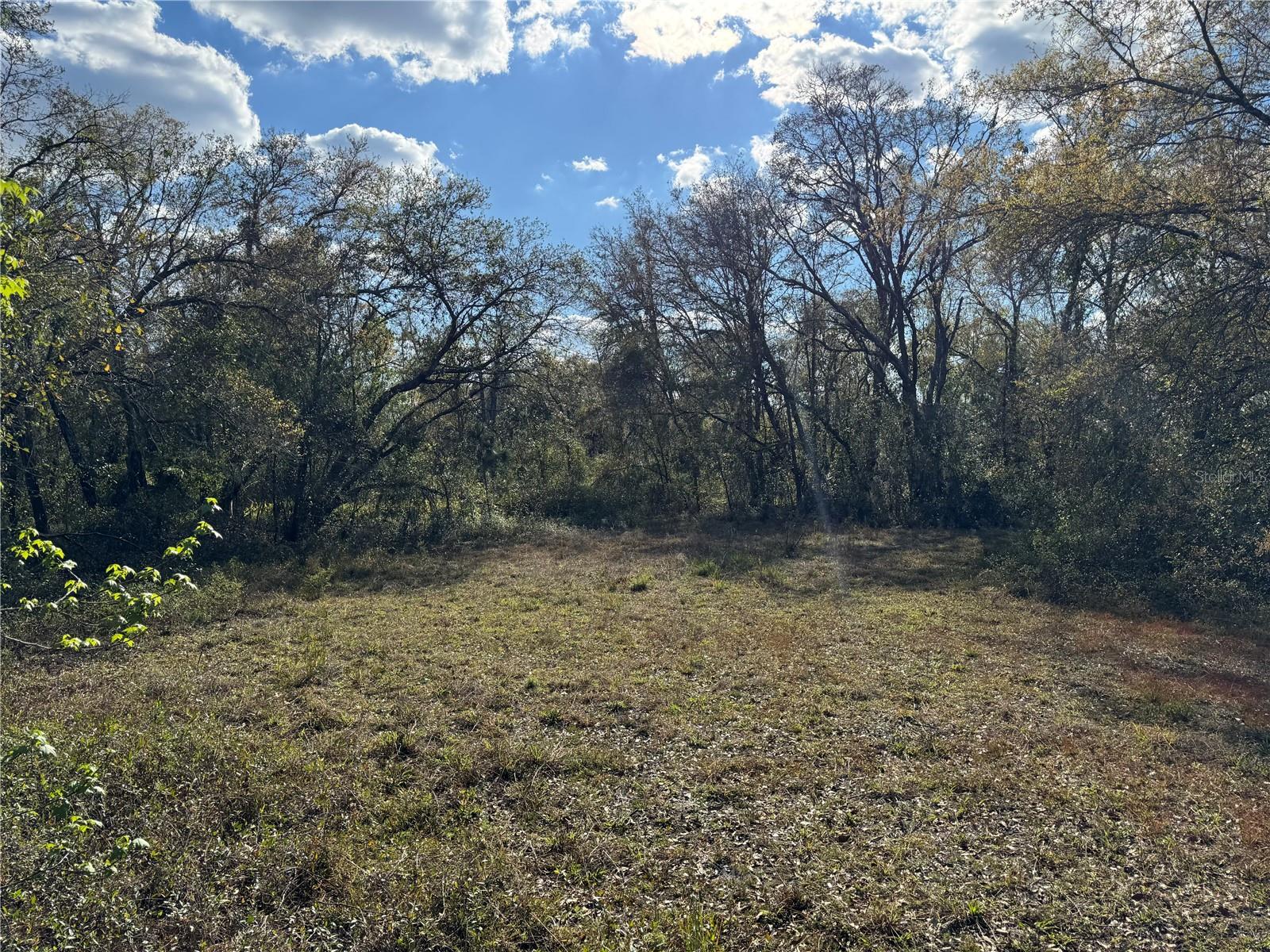 3705 JERRY SMITH RD