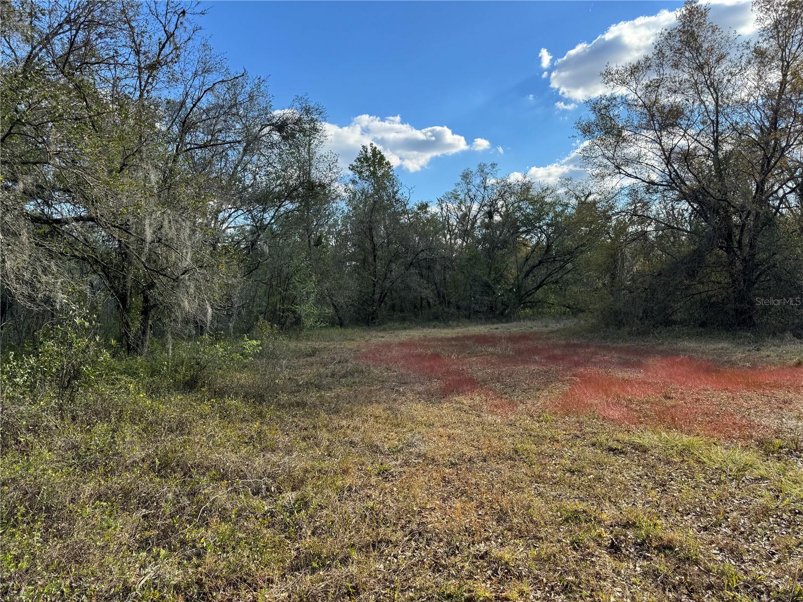 3705 JERRY SMITH RD