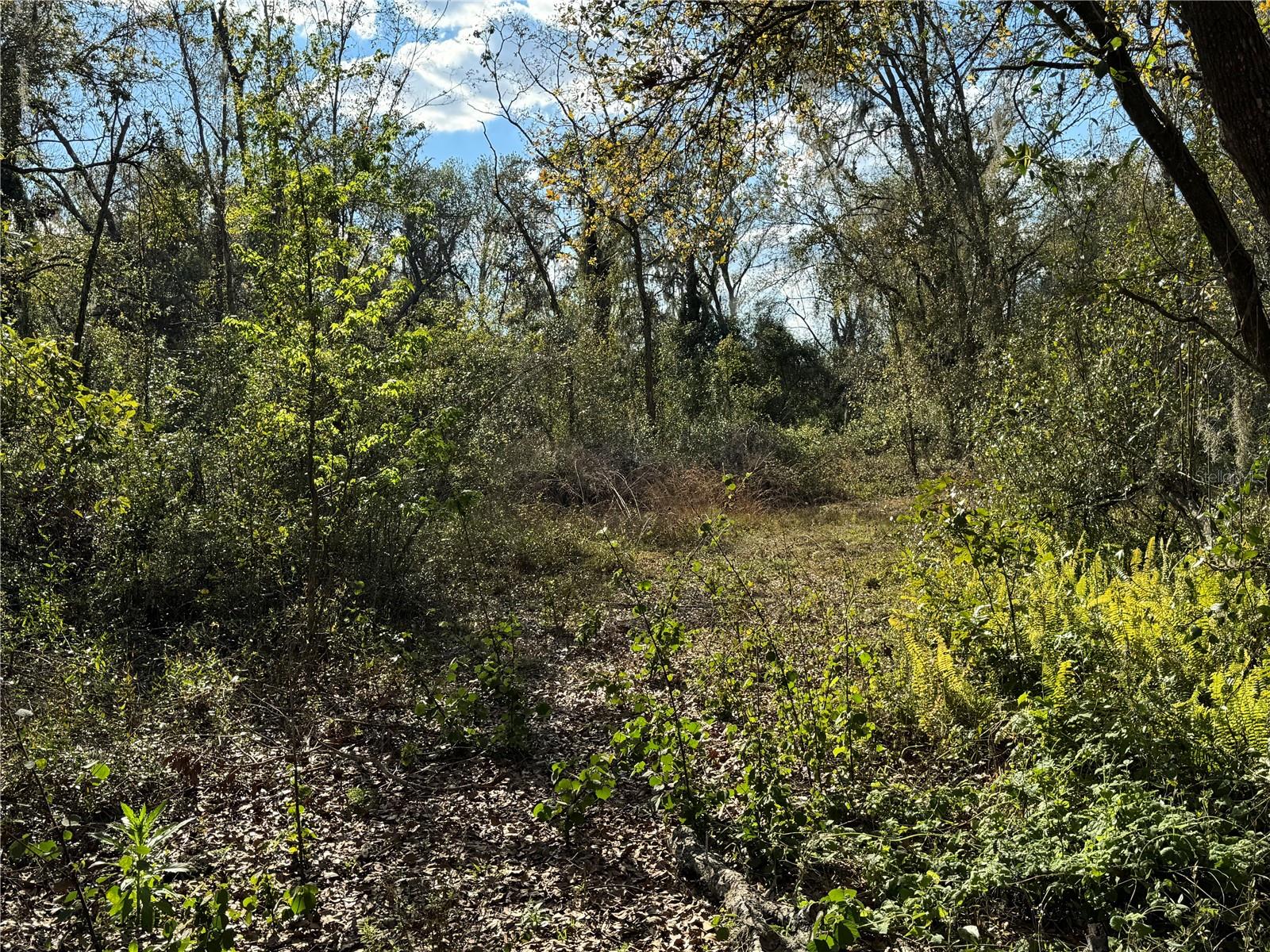 3705 JERRY SMITH RD