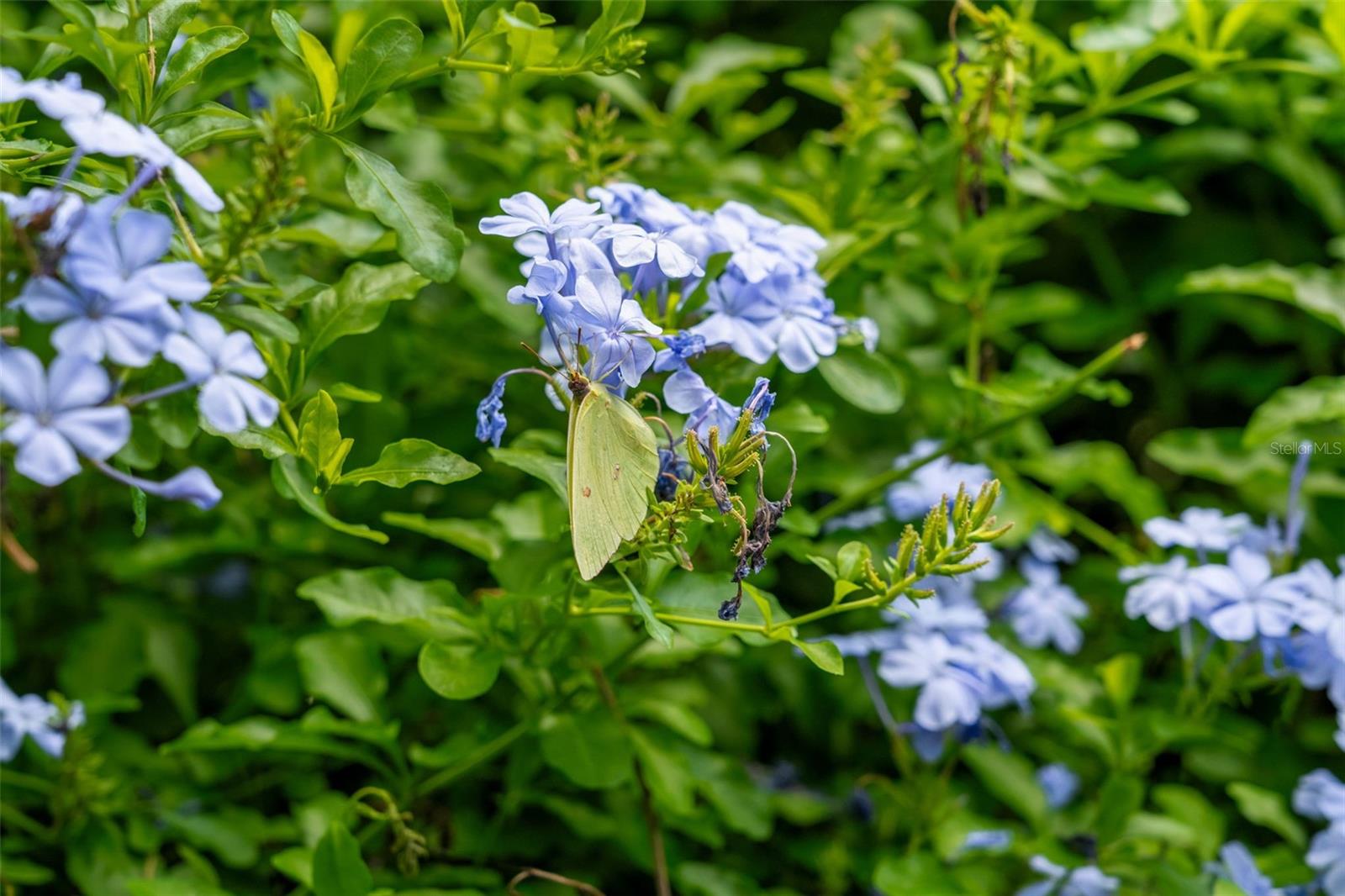 4063 BASEBALL POND RD