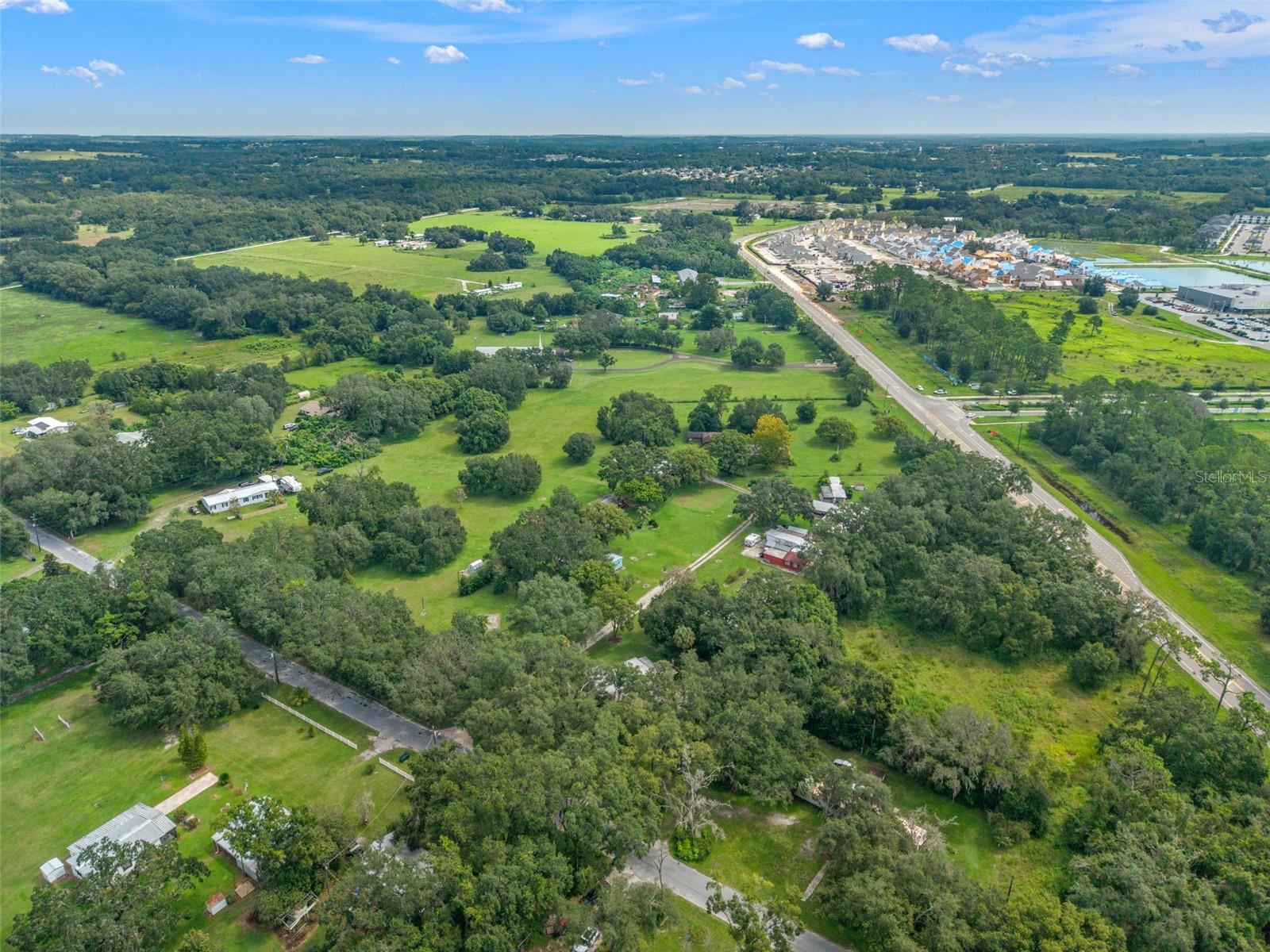 31107 DANA DR