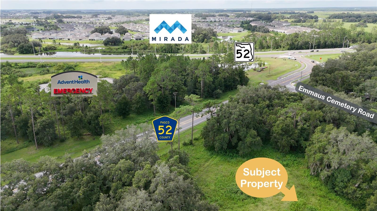 31107 DANA DR