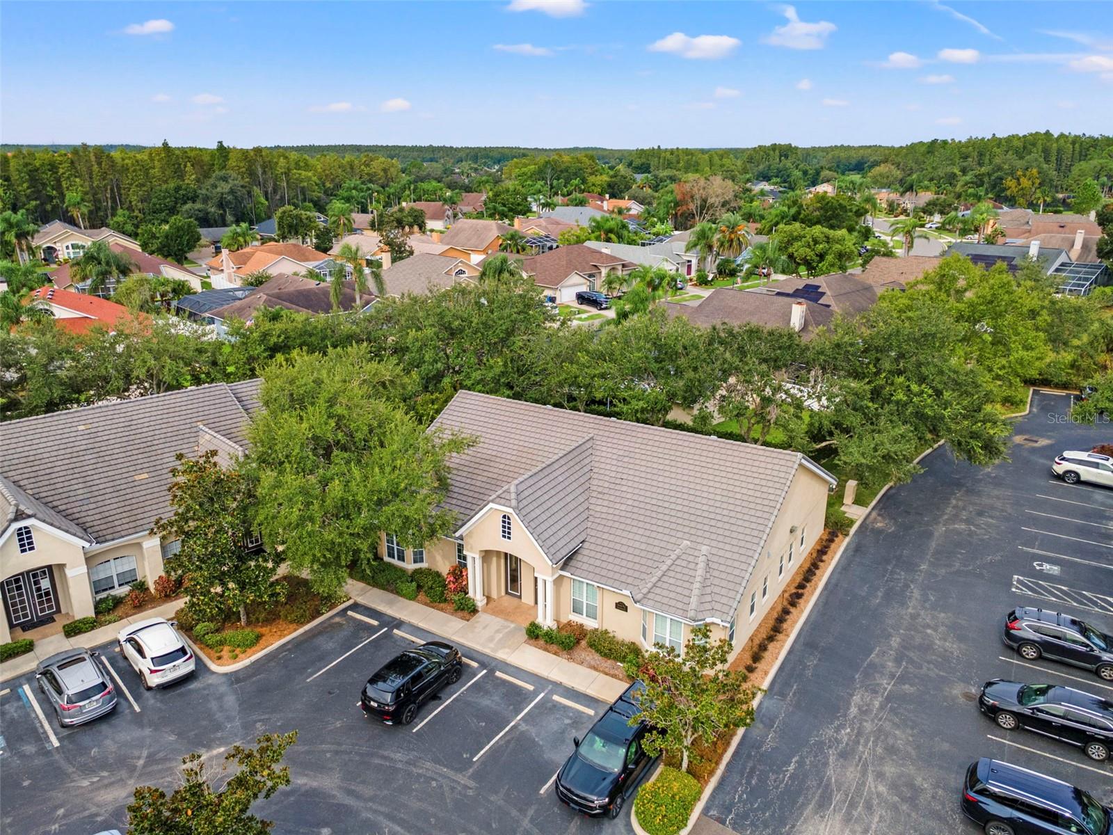 18544 N DALE MABRY HWY