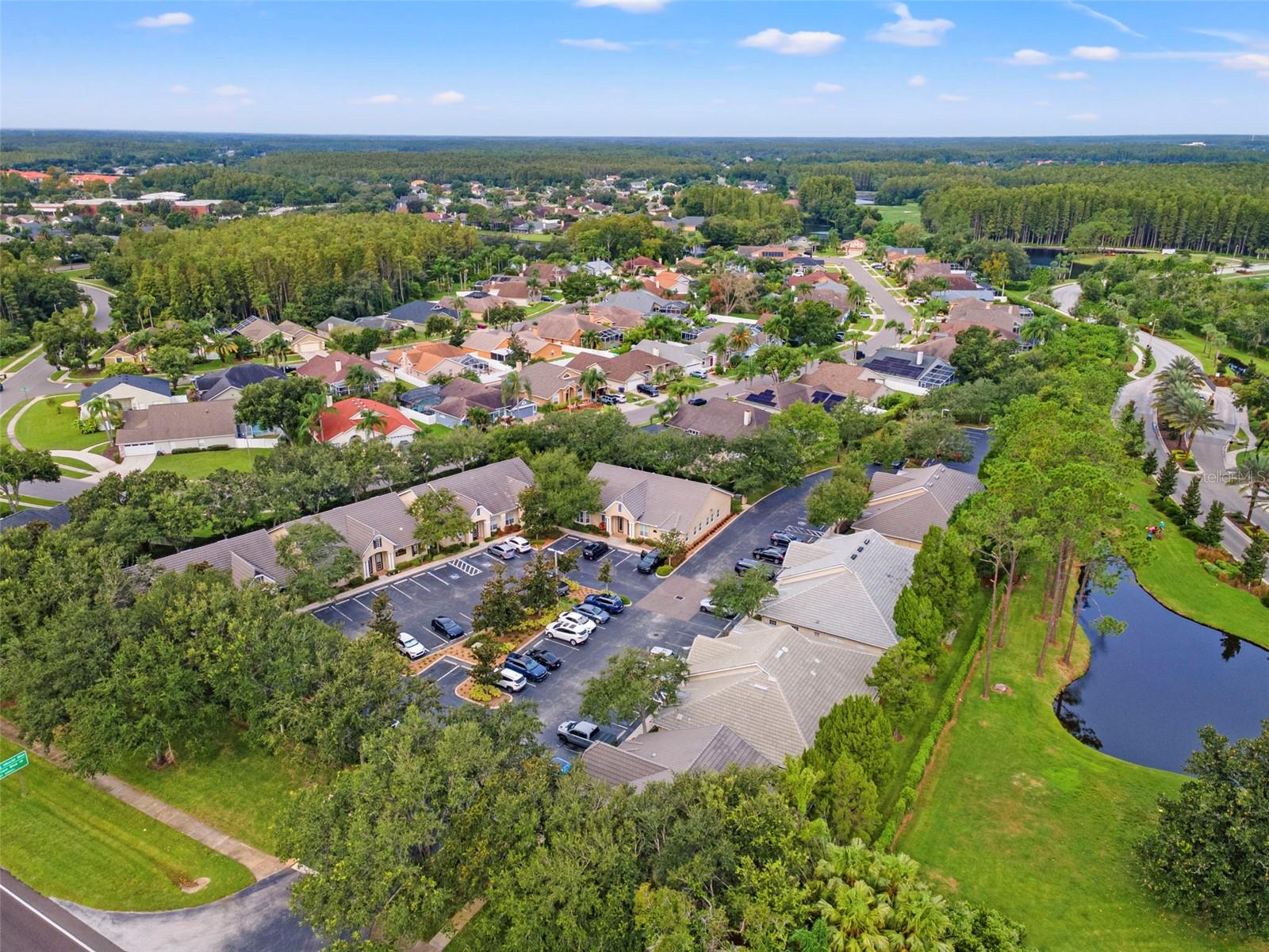 18544 N DALE MABRY HWY