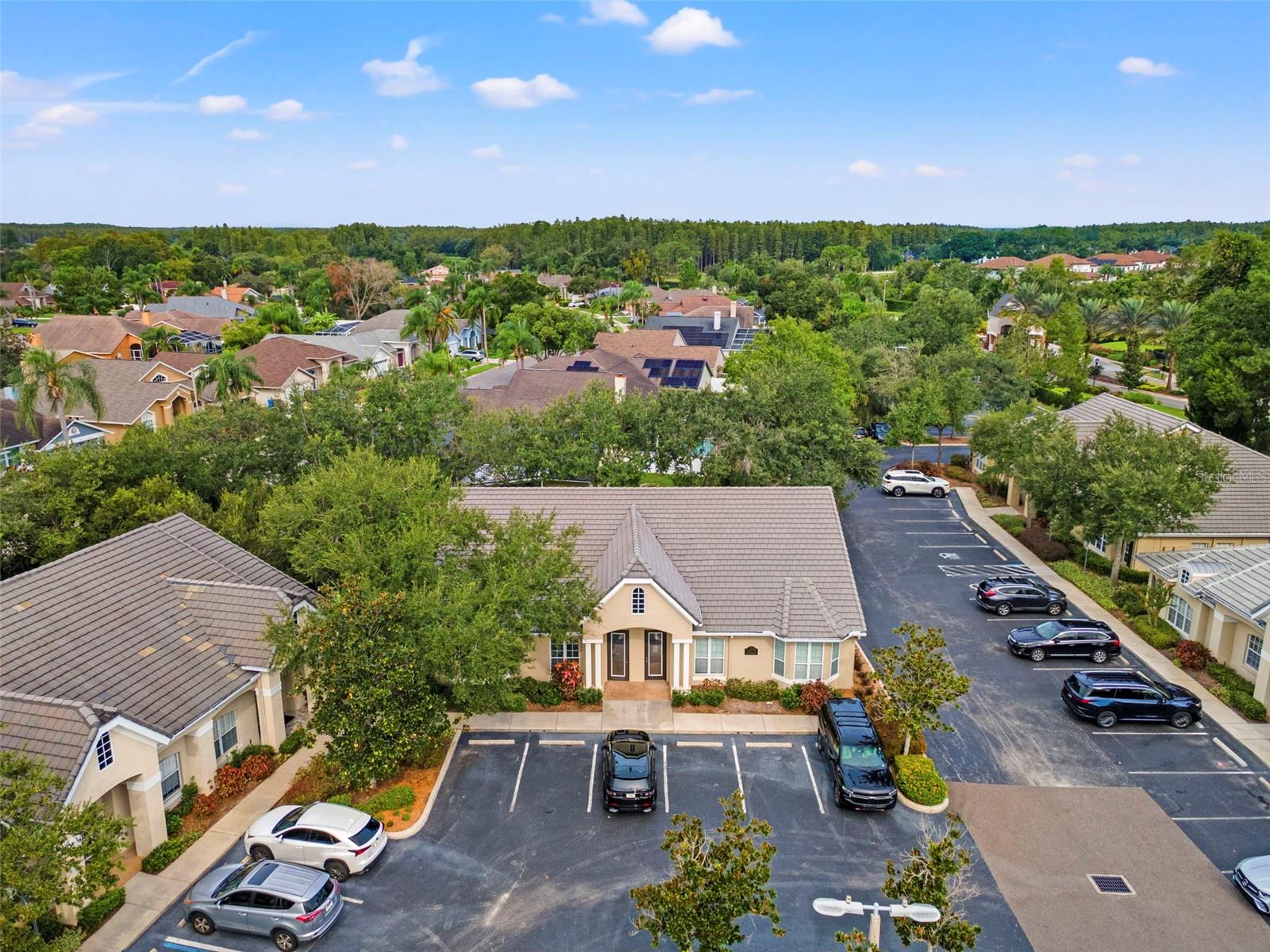 18544 N DALE MABRY HWY