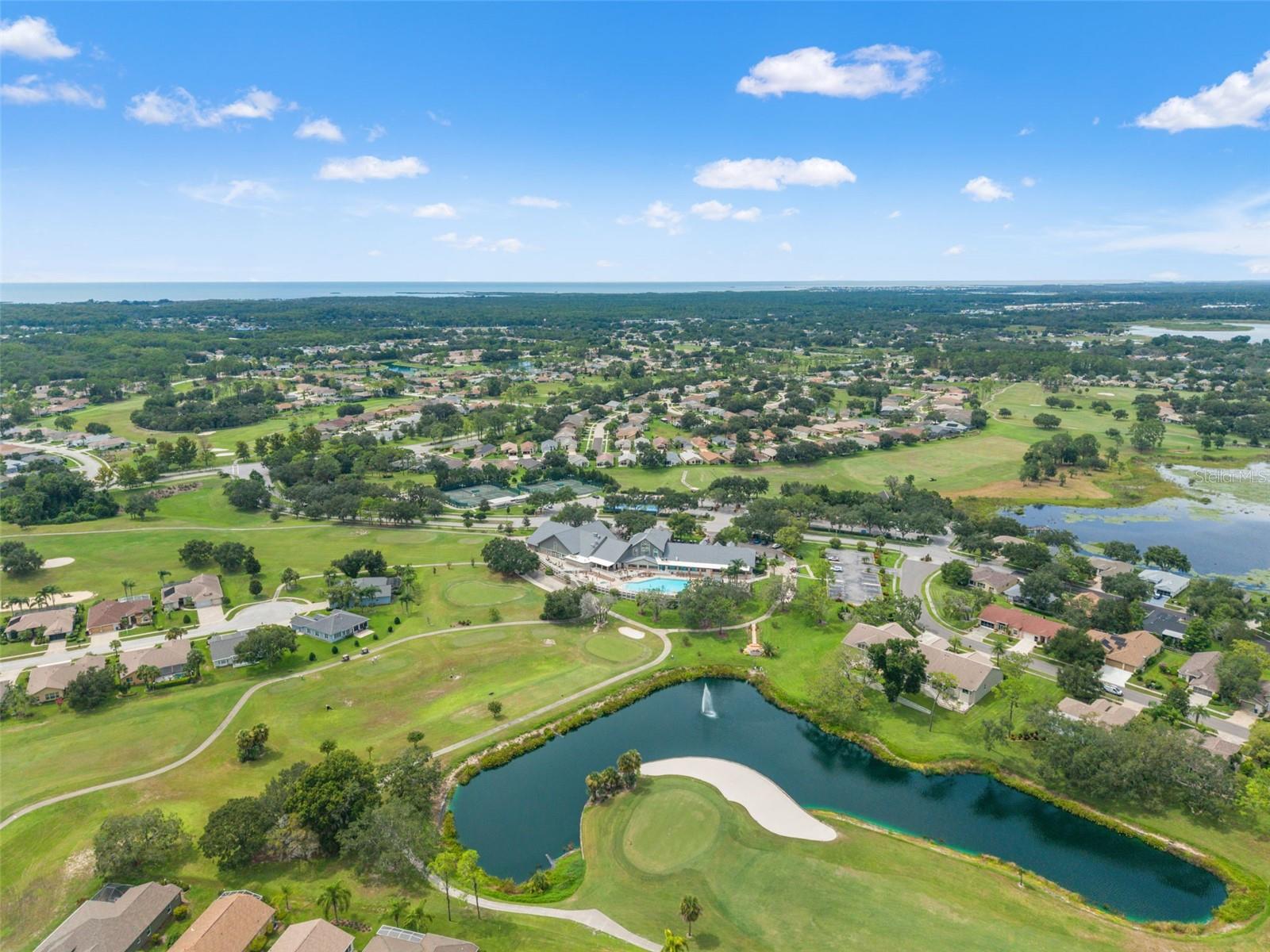 18041 WEBSTER GROVE DR