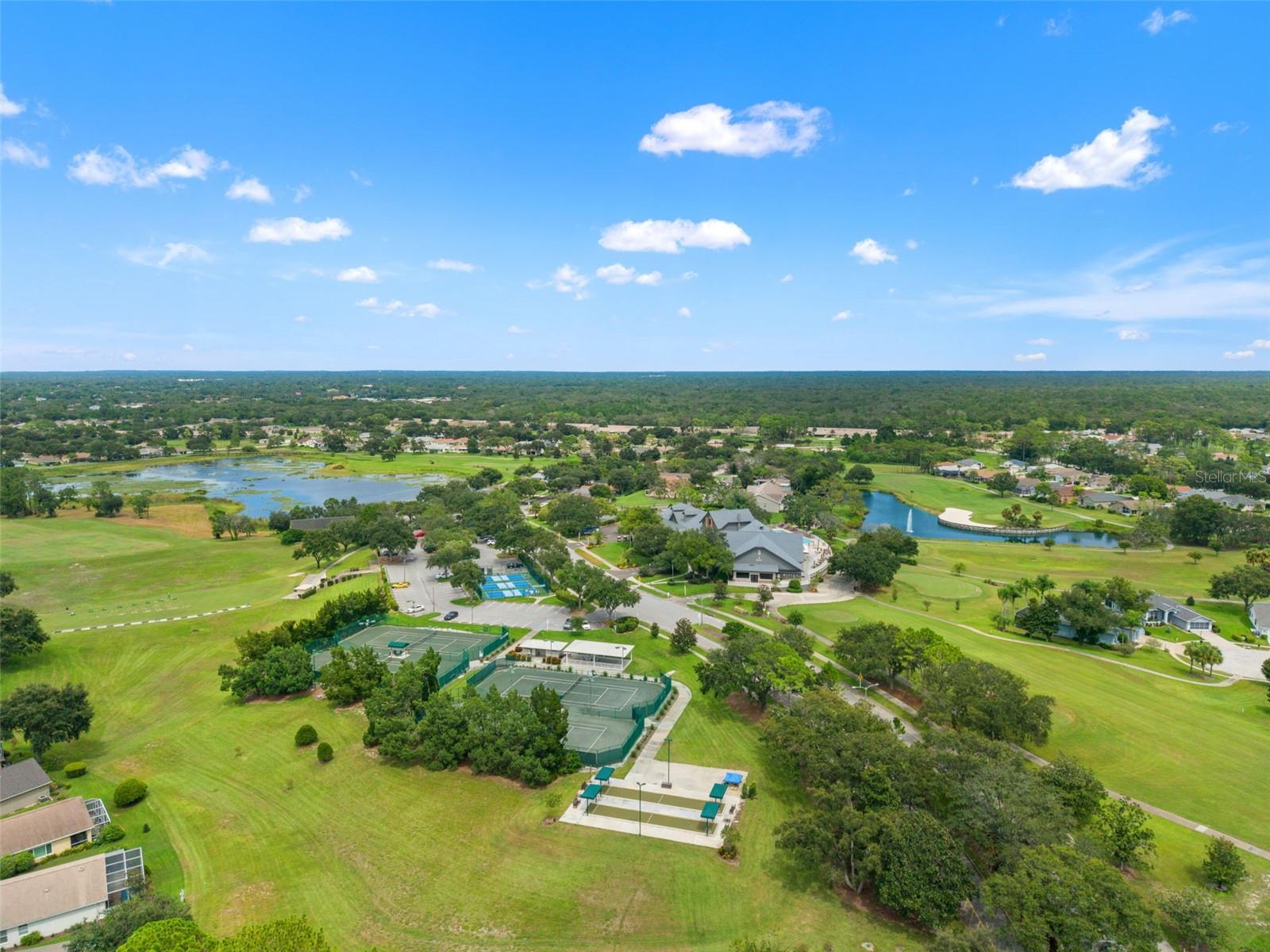 18041 WEBSTER GROVE DR