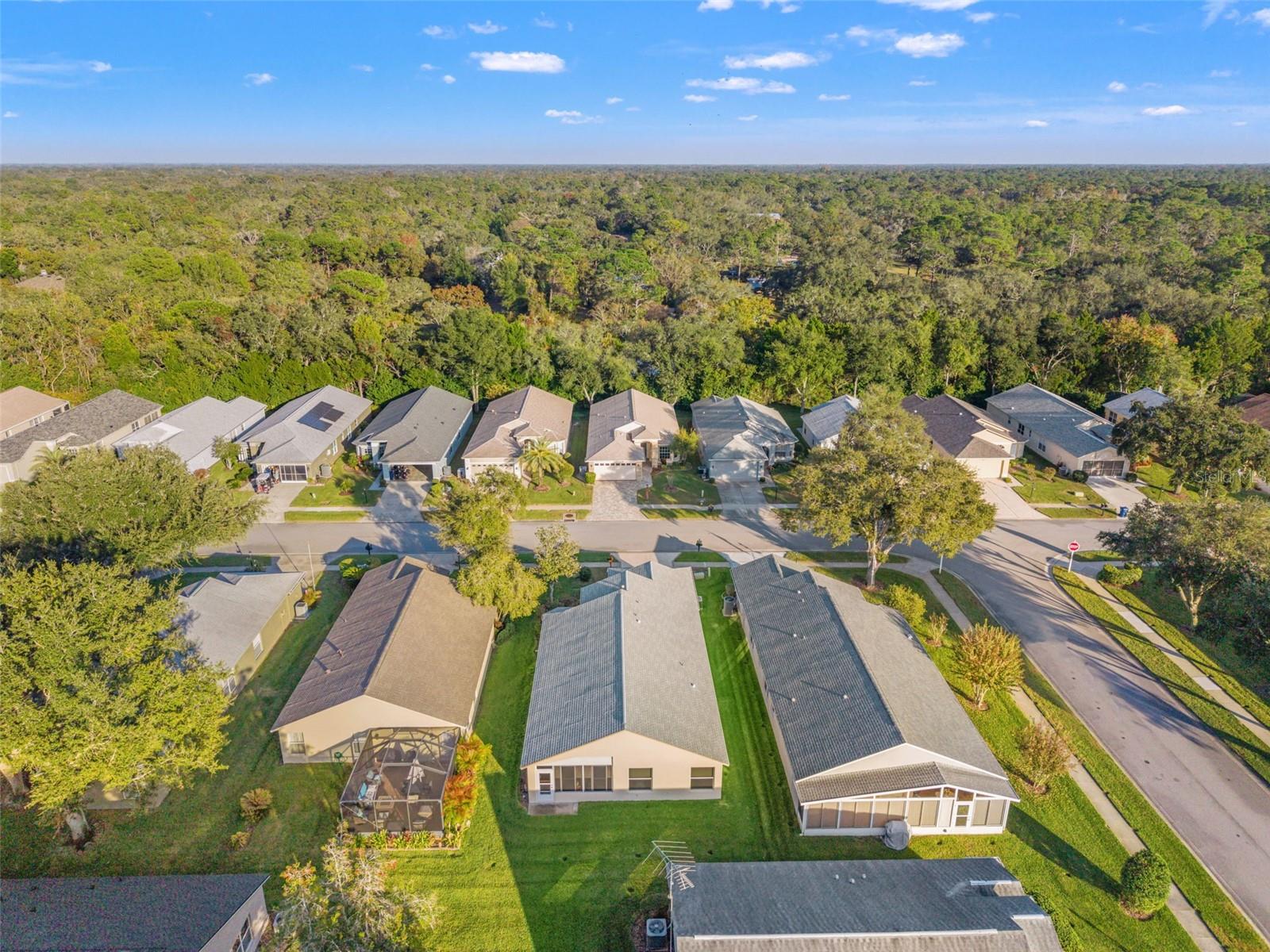 18041 WEBSTER GROVE DR