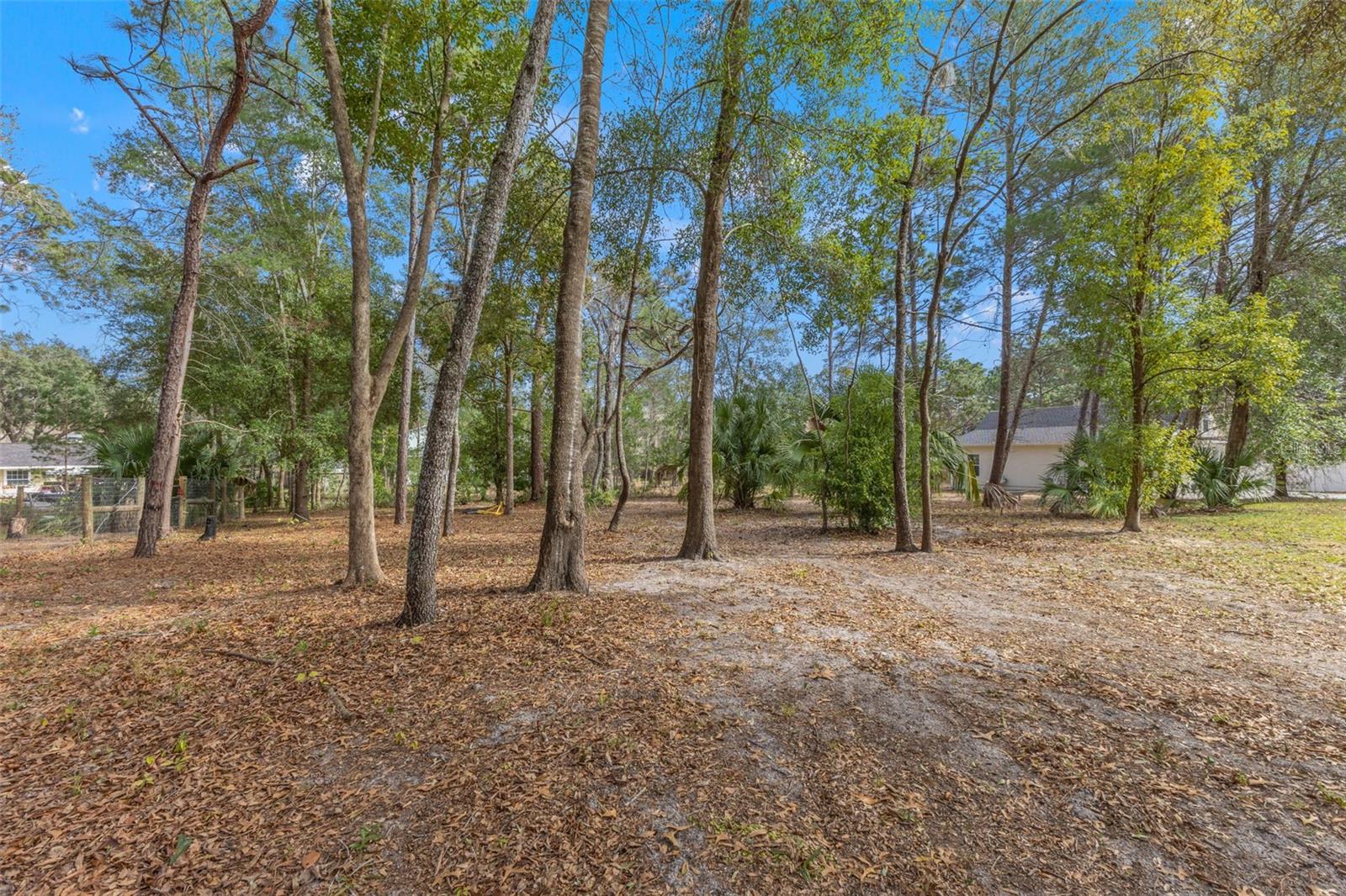 14071 LINDEN DR