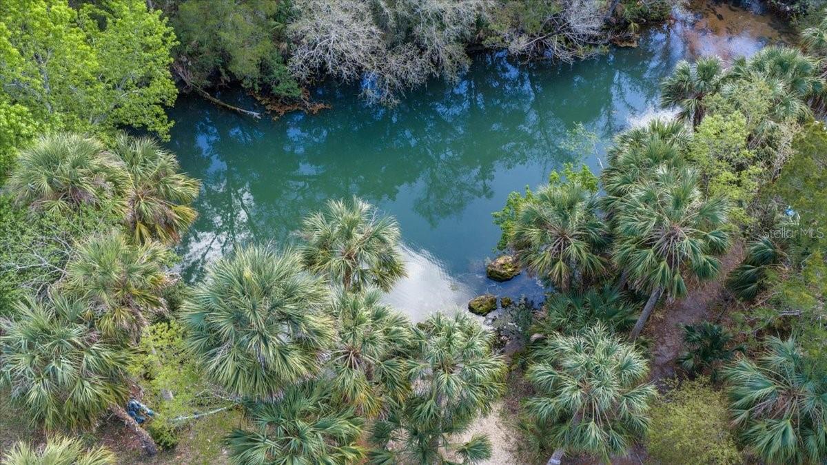 6093 AVENUE OF THE PALMS