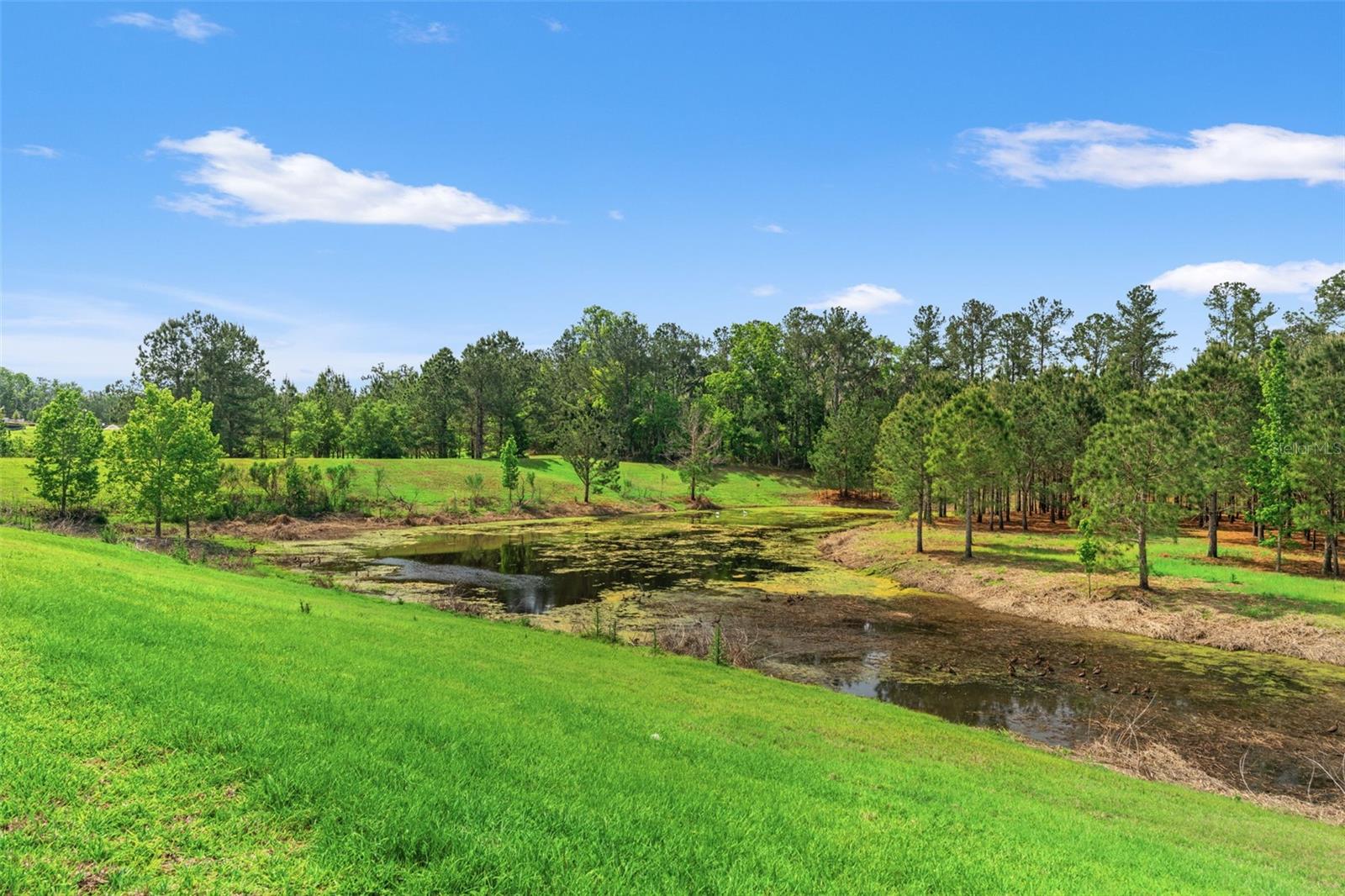 4661 SOUTHERN VALLEY LOOP