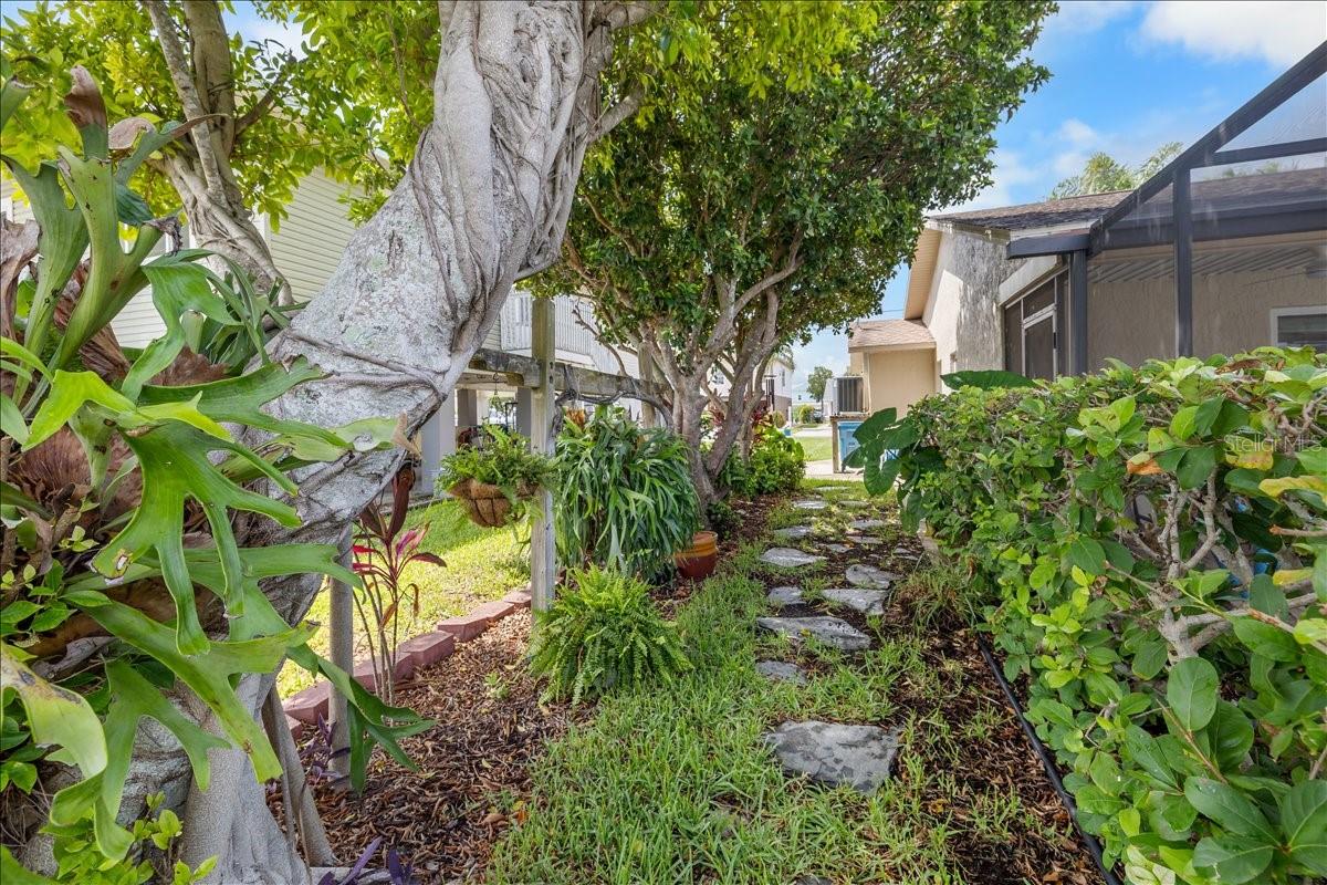 4267 CARLOS CT
