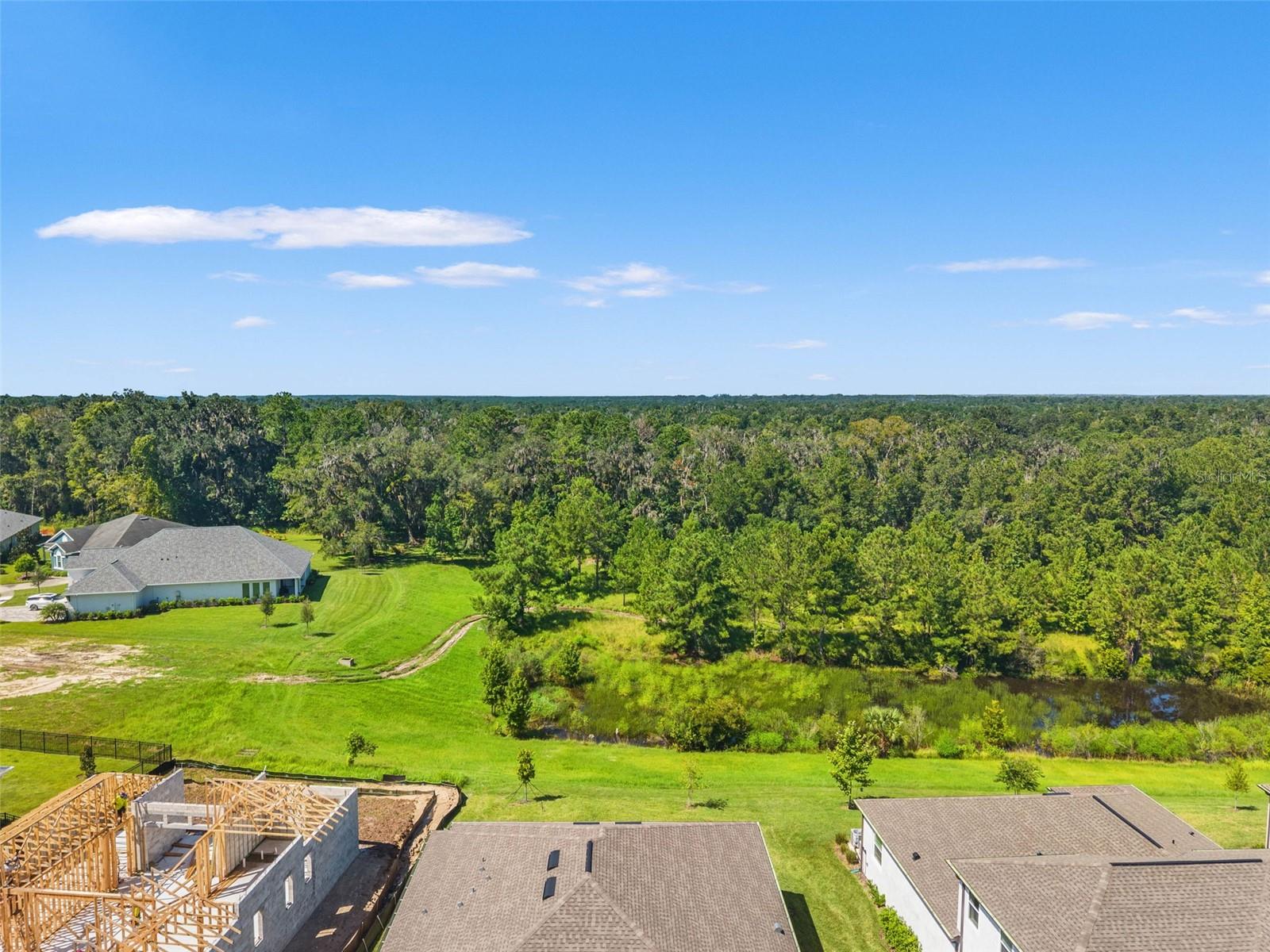 4513 SOUTHERN VALLEY LOOP