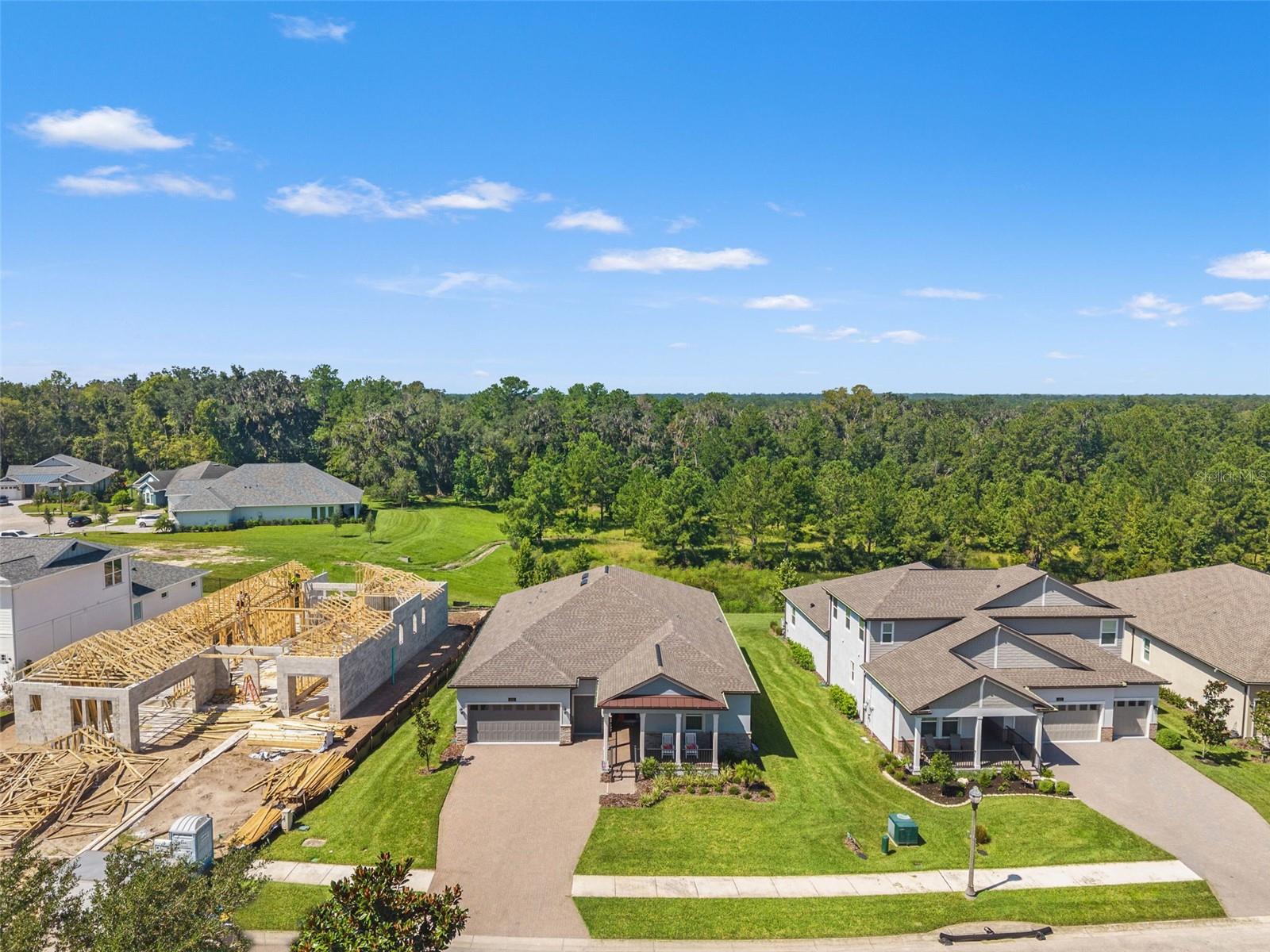 4513 SOUTHERN VALLEY LOOP