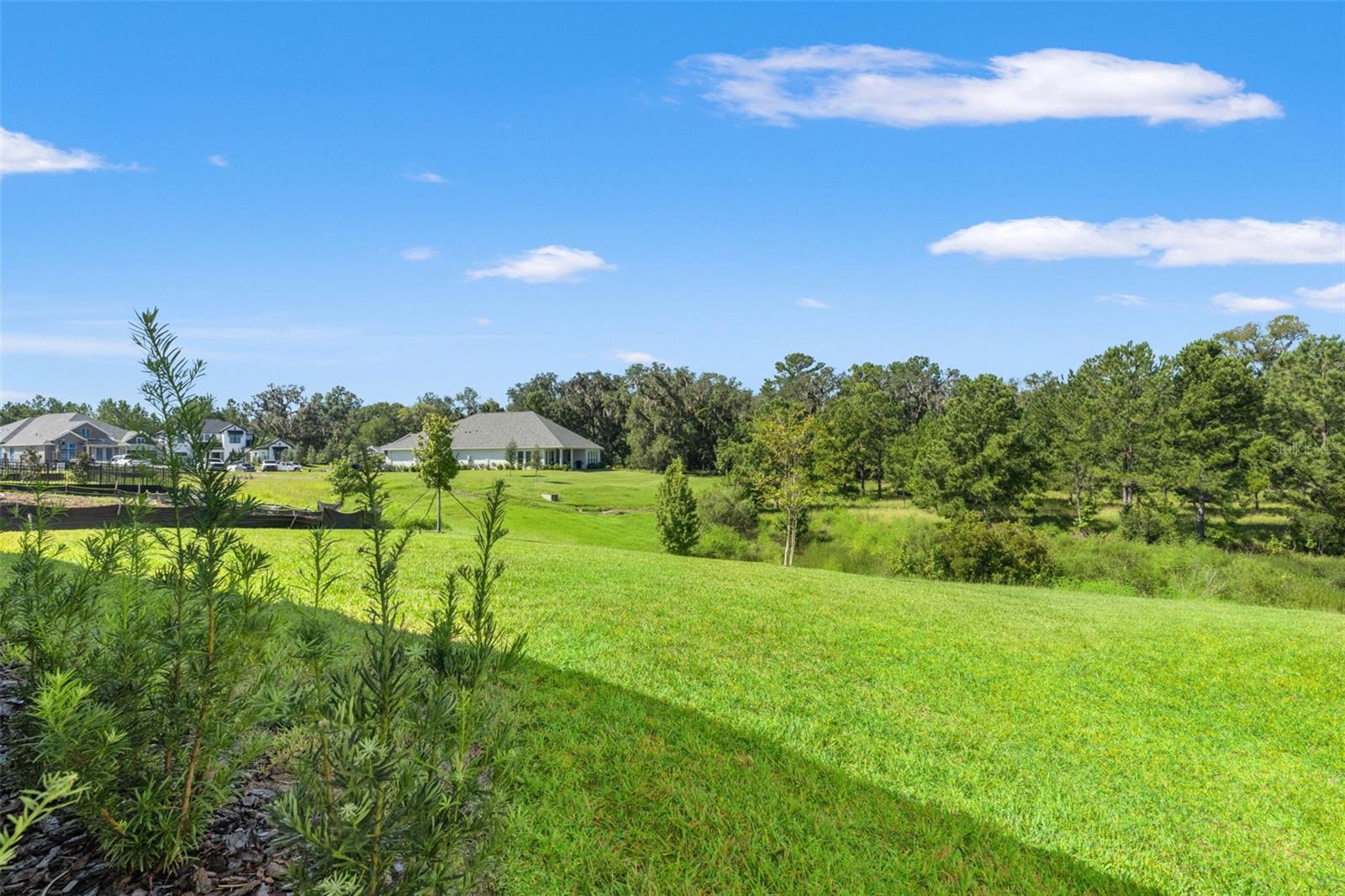 4513 SOUTHERN VALLEY LOOP