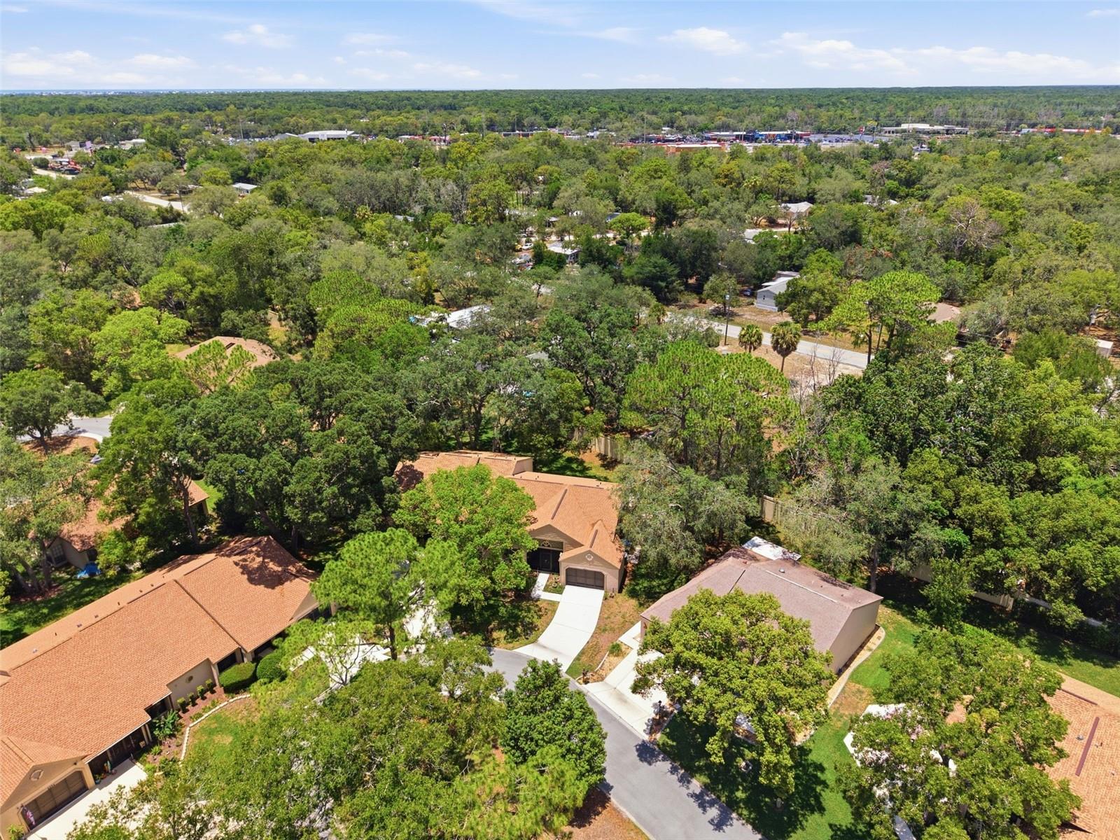 6695 PIN OAK CT