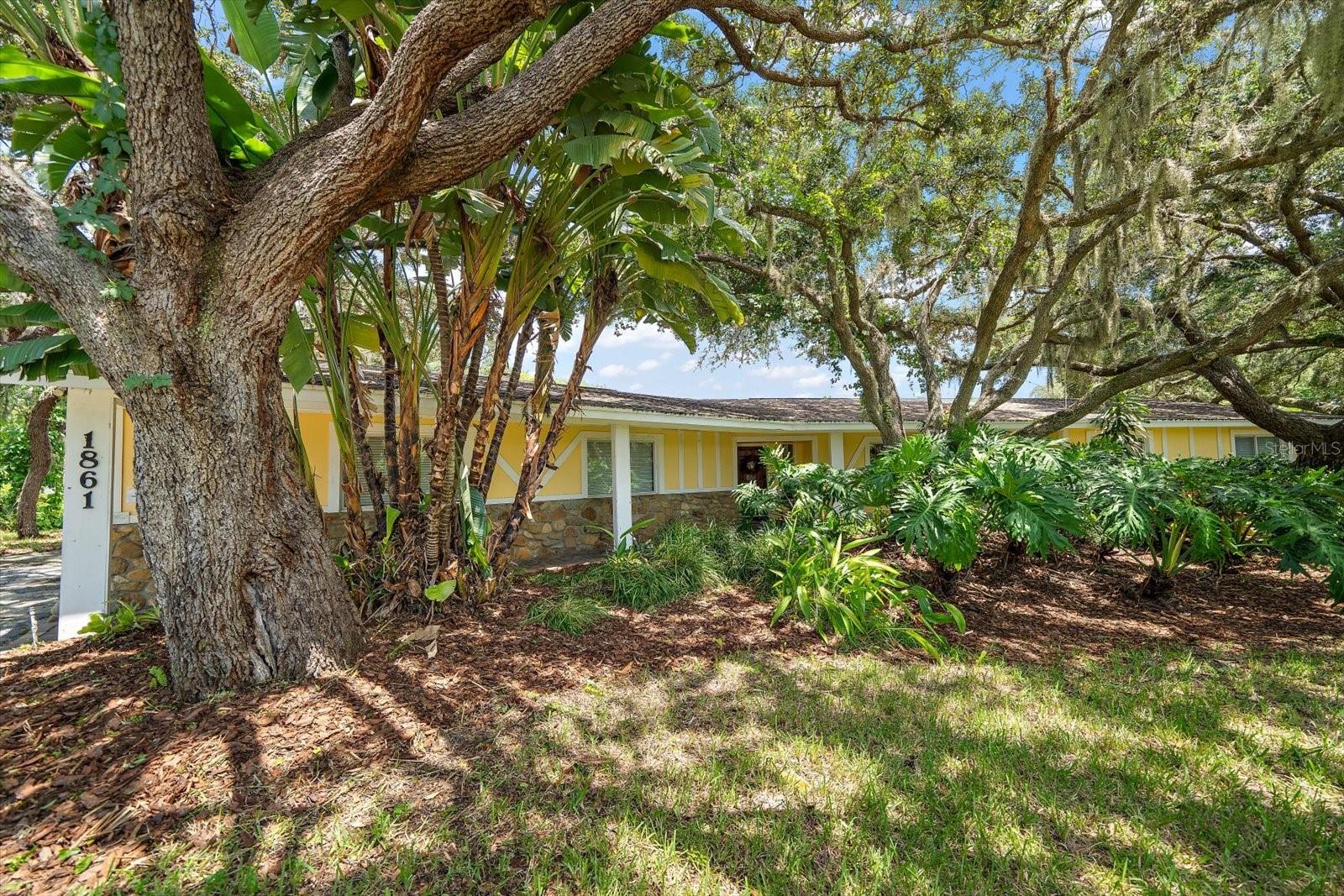 1861 SADDLE HILL RD S