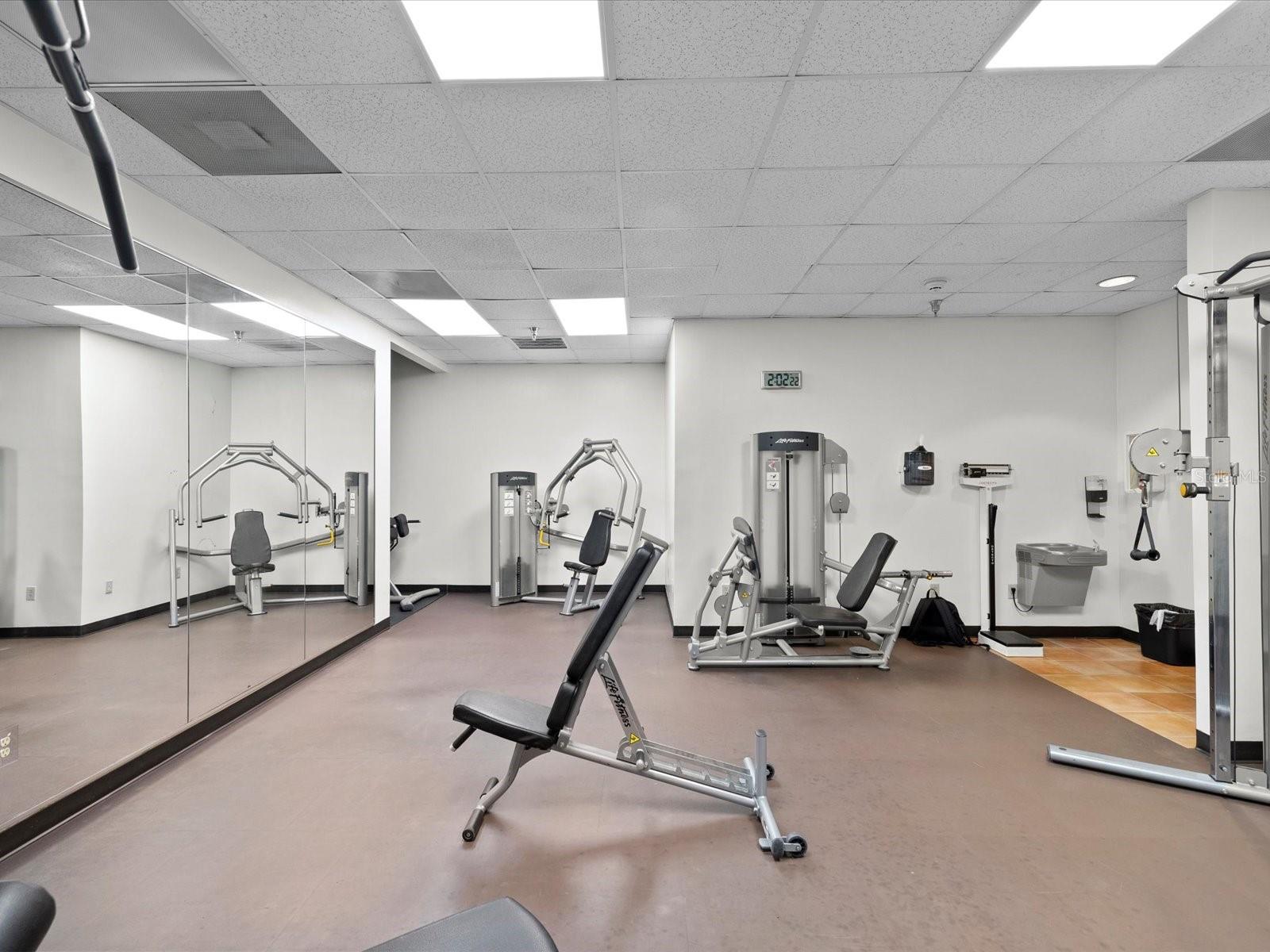 345 BAYSHORE BLVD #603