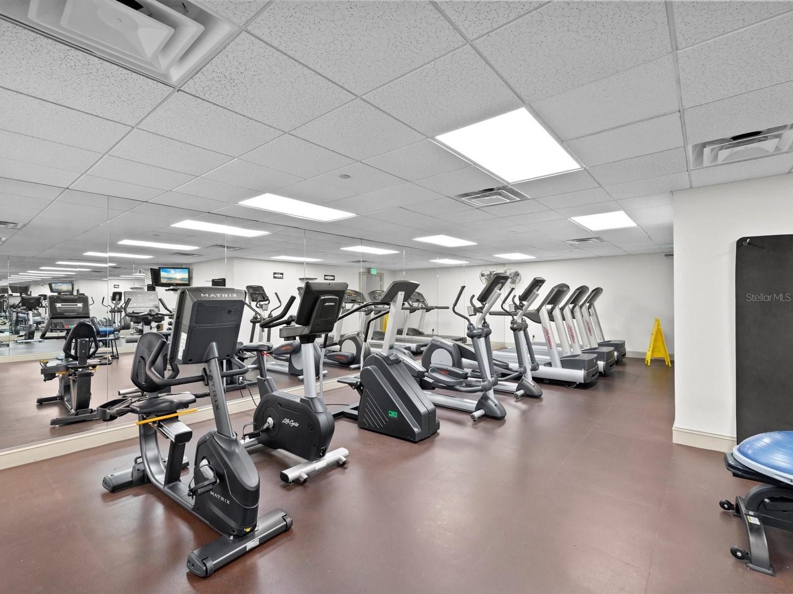 345 BAYSHORE BLVD #603