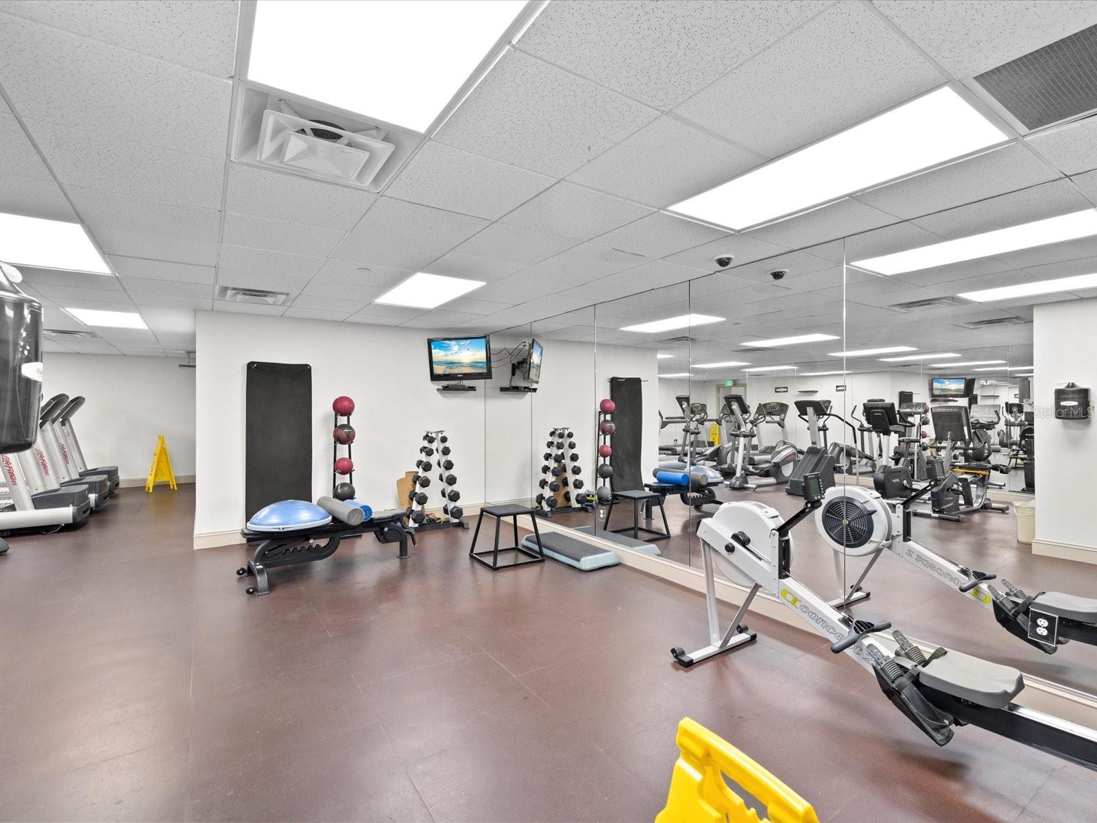 345 BAYSHORE BLVD #603