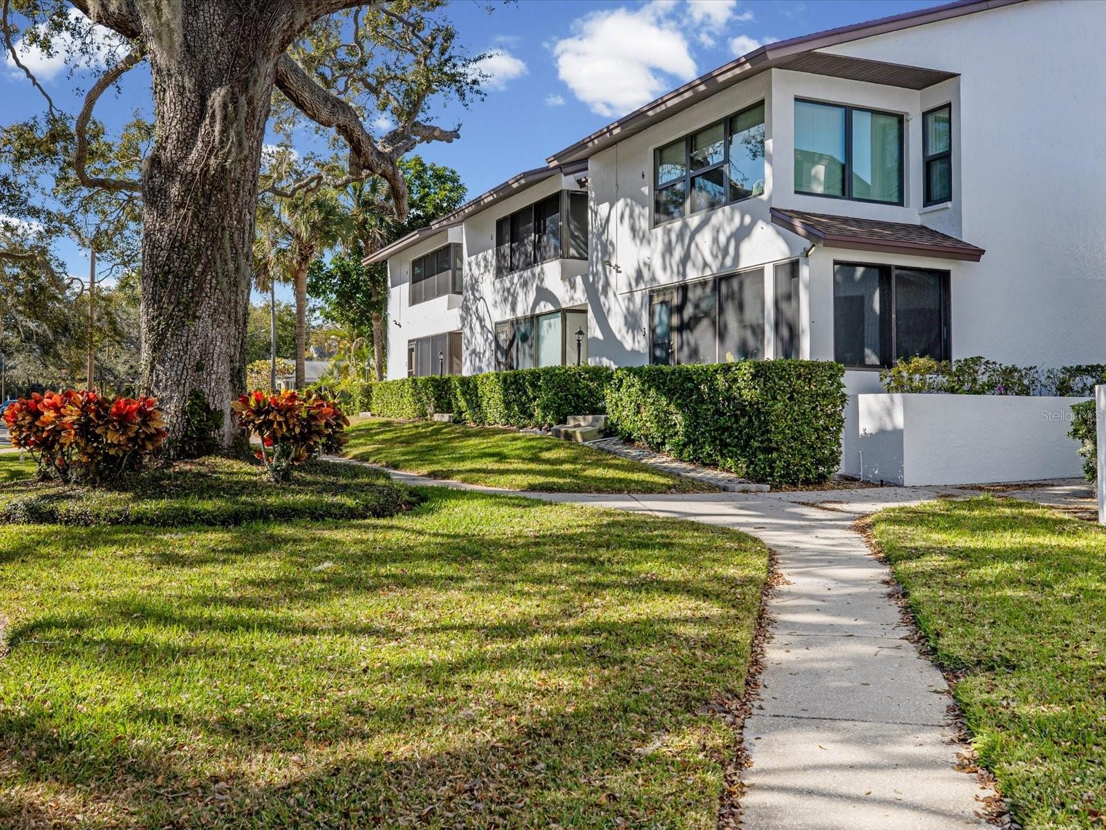 413 S BAYSHORE BLVD #4