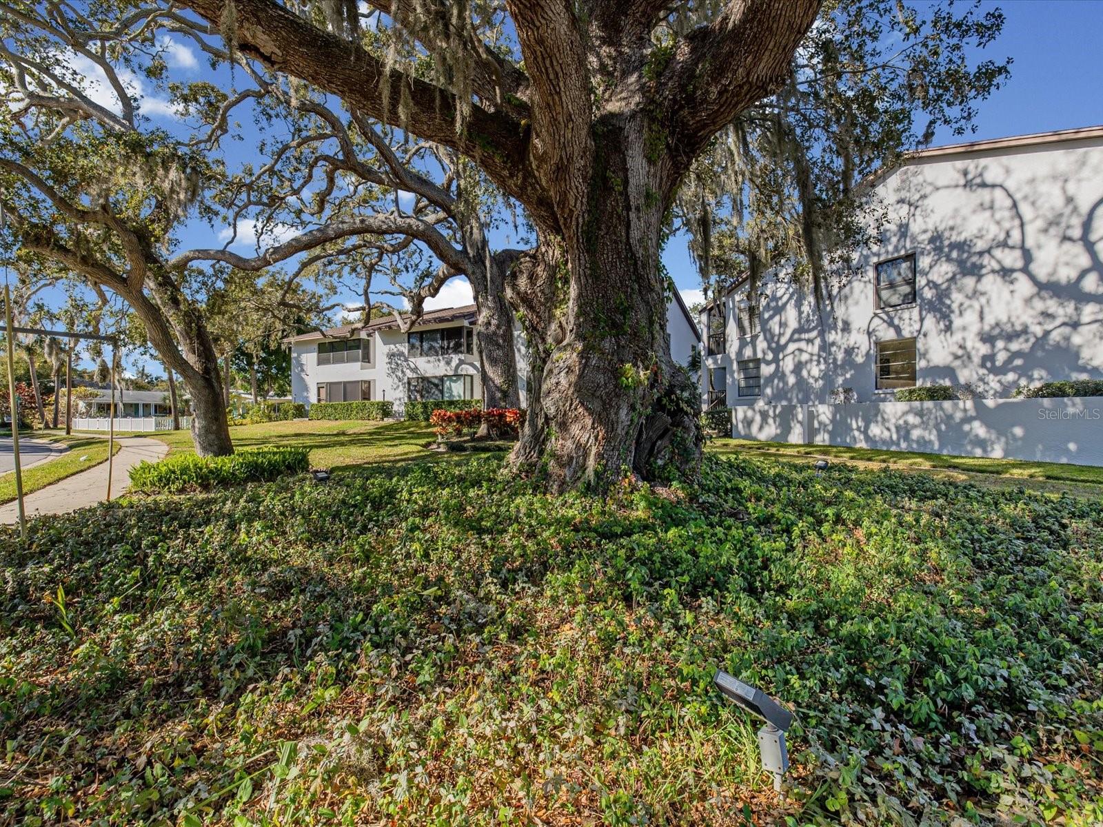 413 S BAYSHORE BLVD #4