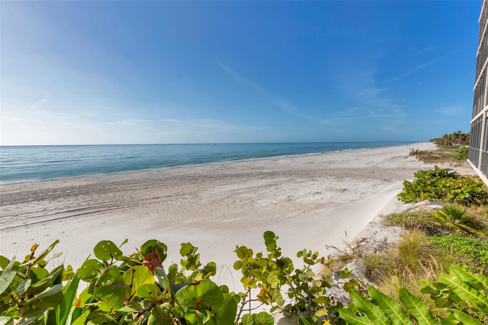 15462 GULF BLVD #901