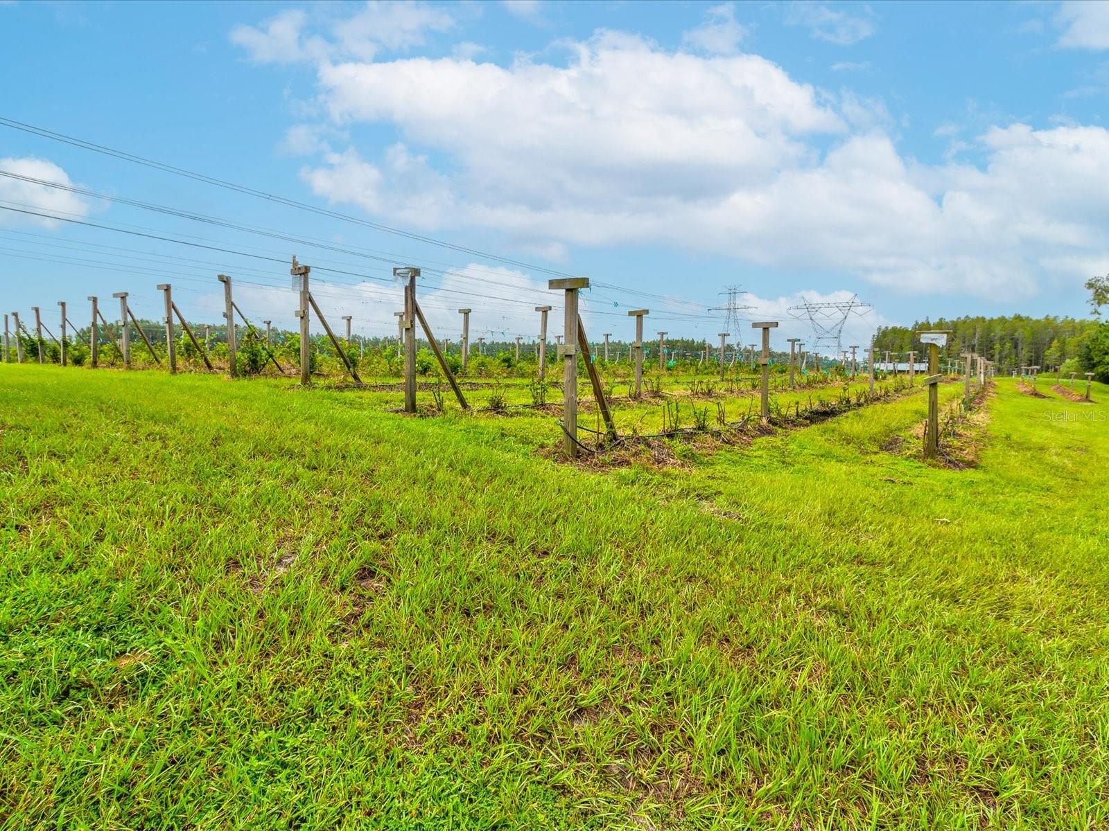 4219 WOODLAND RETREAT BLVD