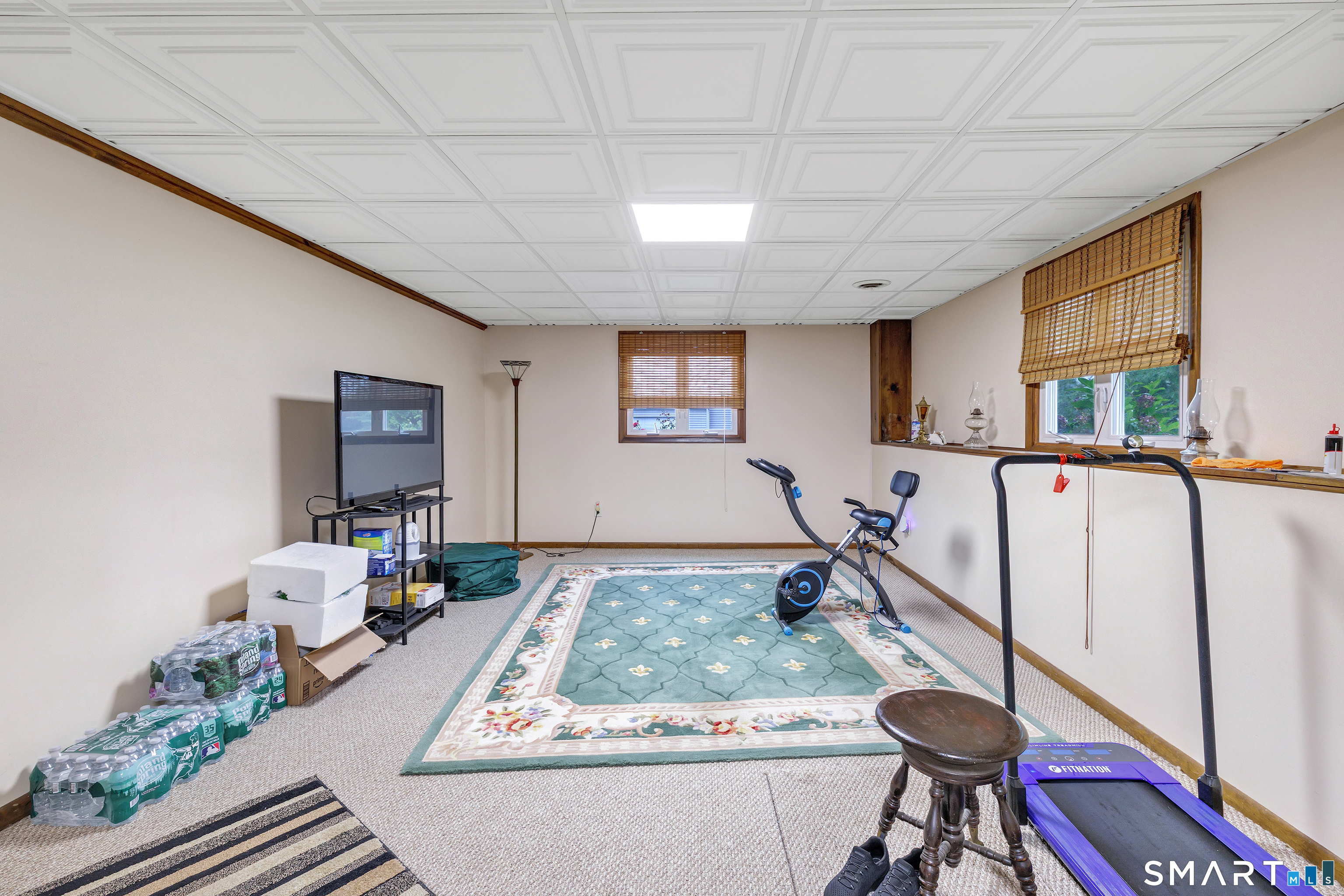 Carpeted exercise room with a bike, treadmill, television, and patterned rug.