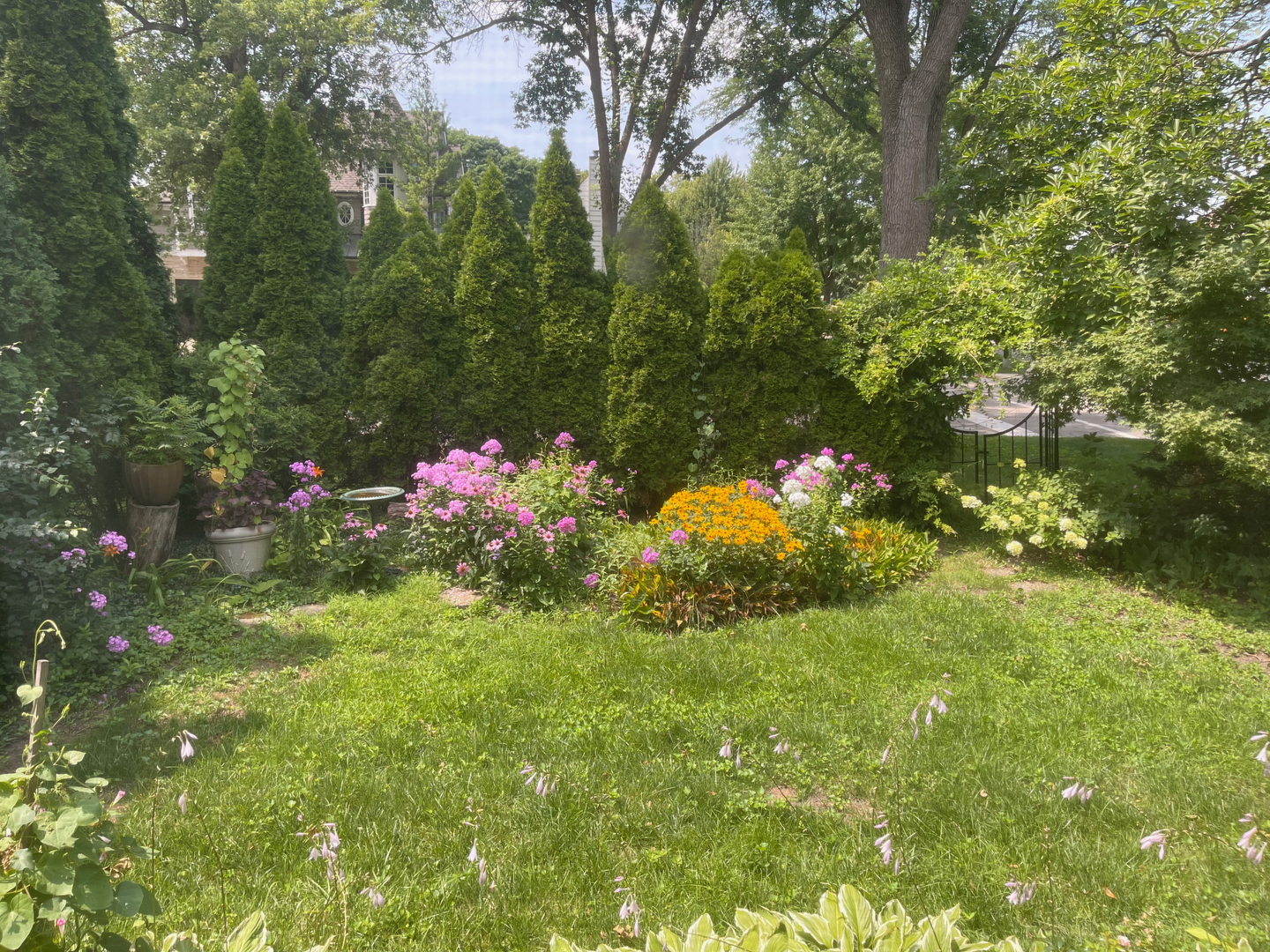 516 W 6th Street