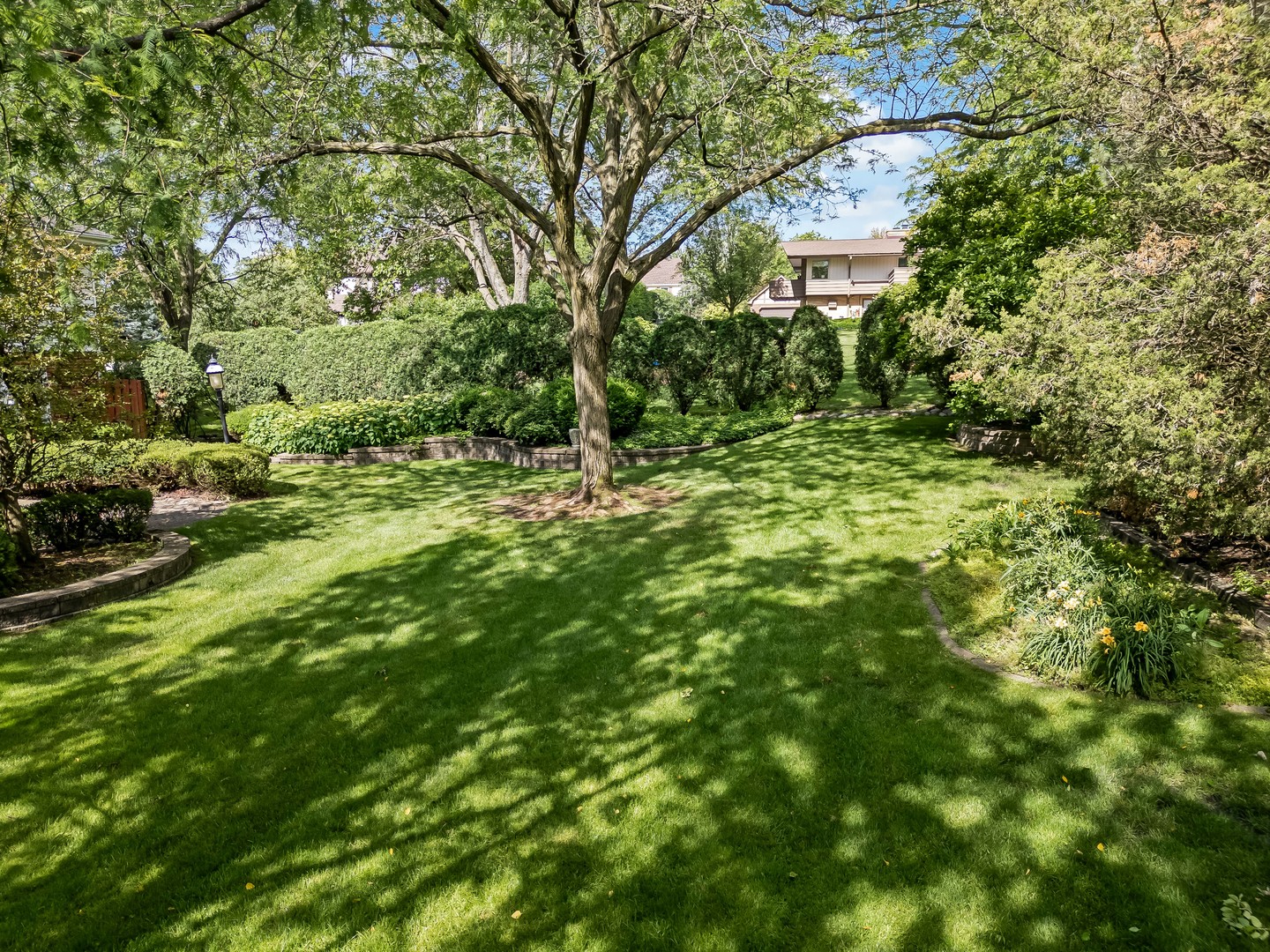 113 Surrey Lane