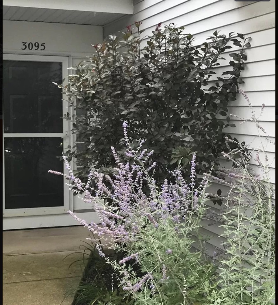3095 Kentshire Circle