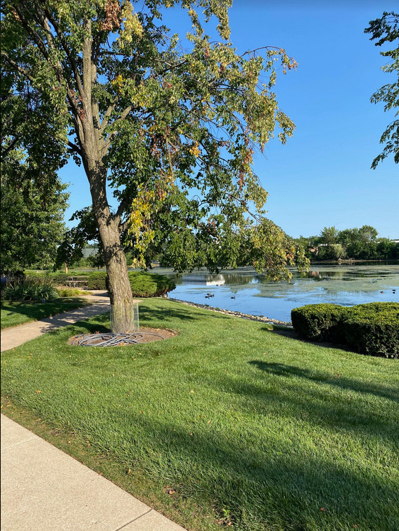 6135 Knoll Wood Road Unit: 303