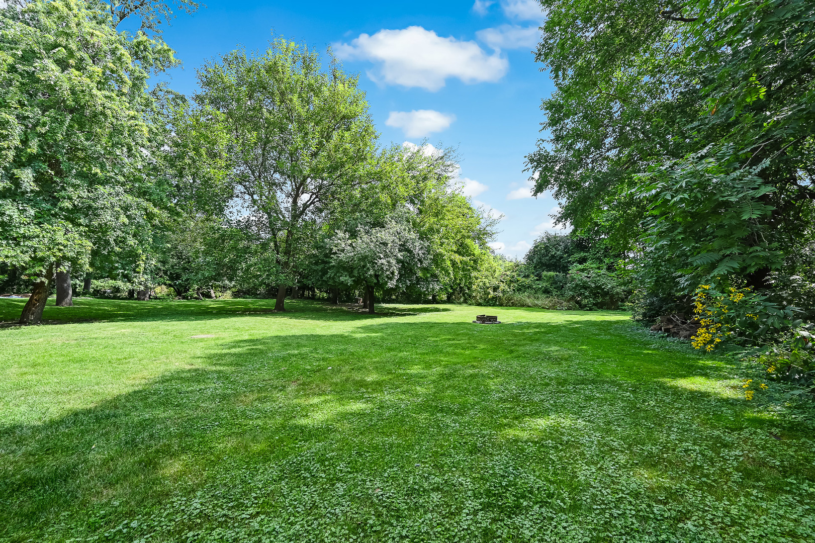 3631 FOREST Avenue Unit: A