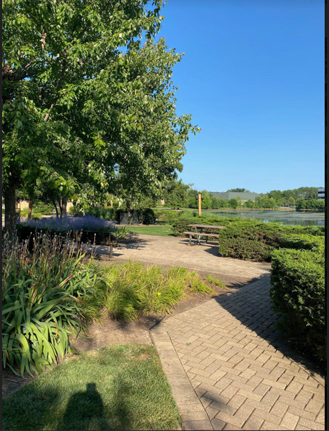 6142 Knoll Wick Road Unit: 201
