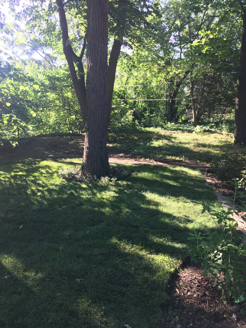 6401 Blackhawk Trail