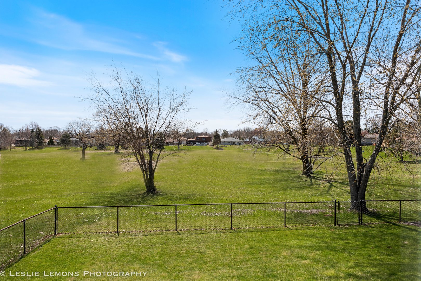 2989 Drover Lane