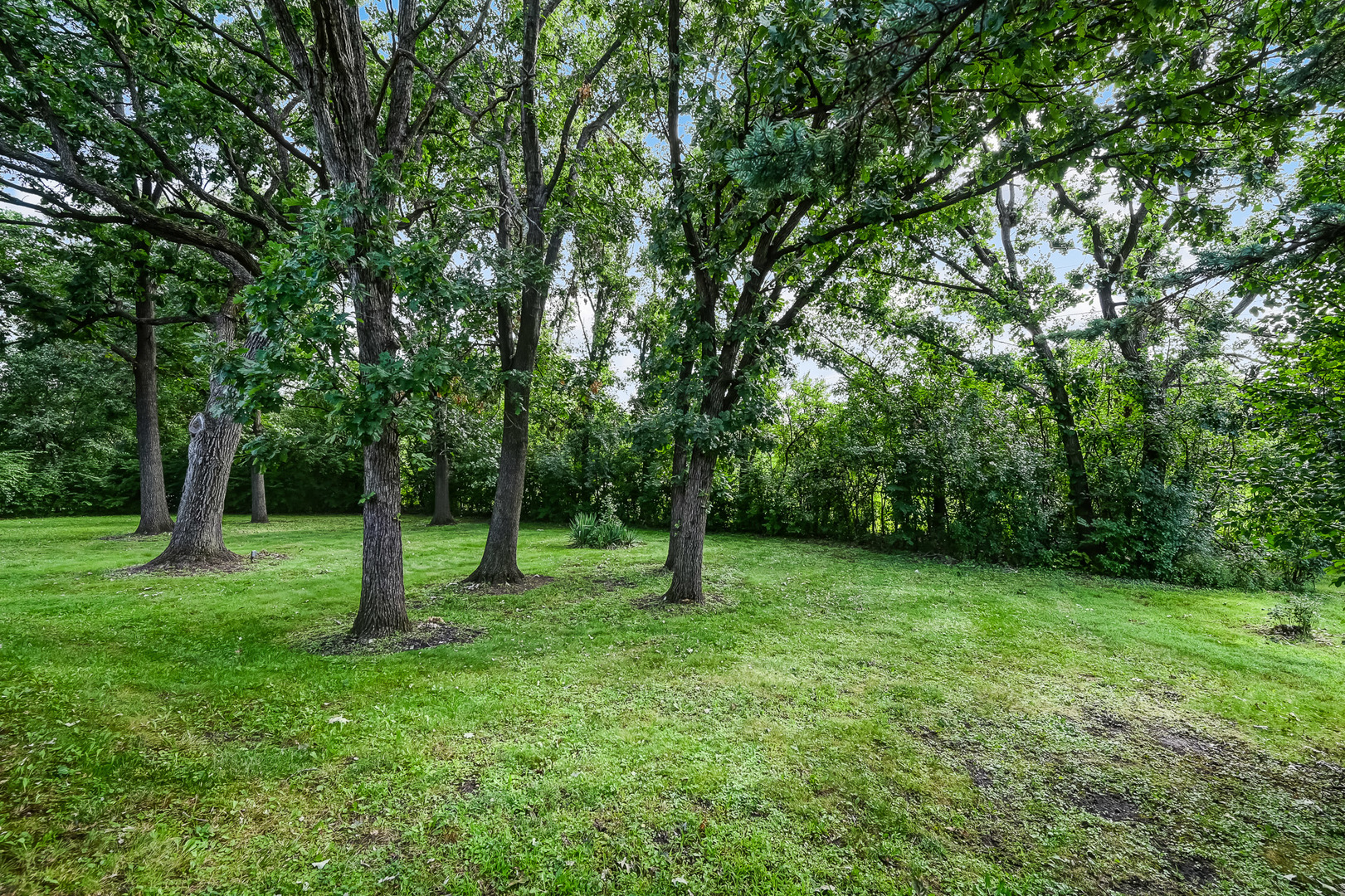 8141 Ridgepointe Drive