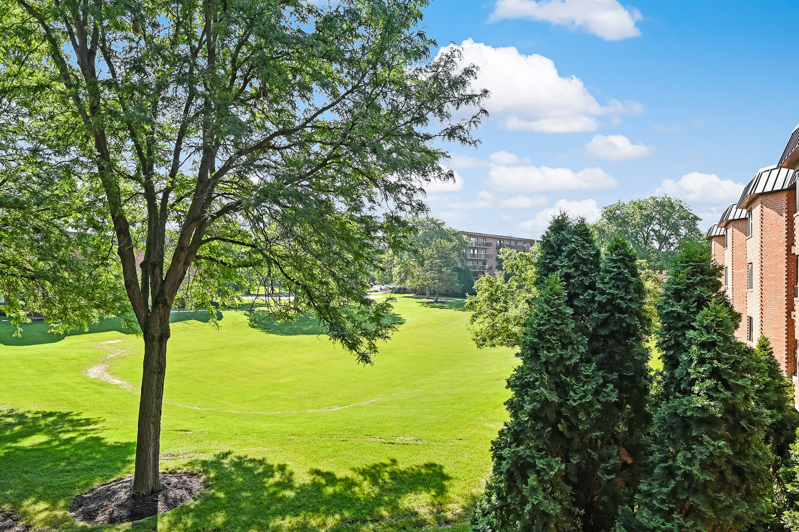 6401 Clarendon Hills Road Unit: 207