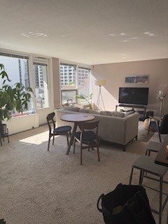 1400 N State Parkway Unit: 8E