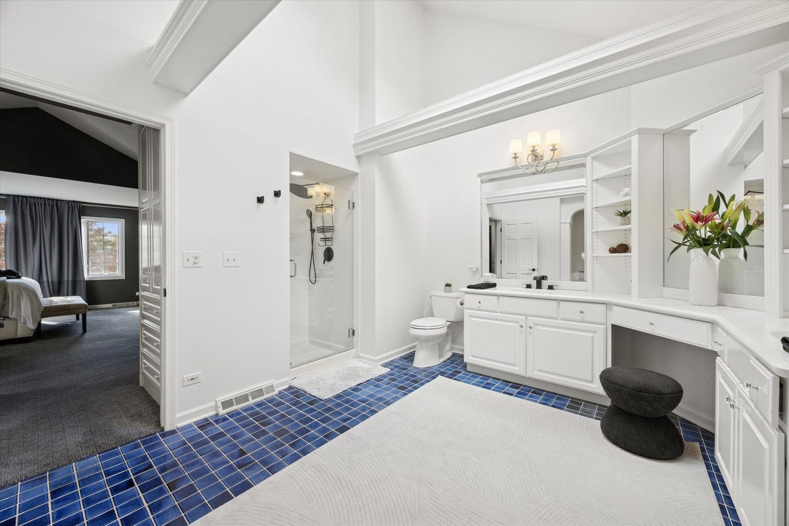 245 Meadowbrook Lane