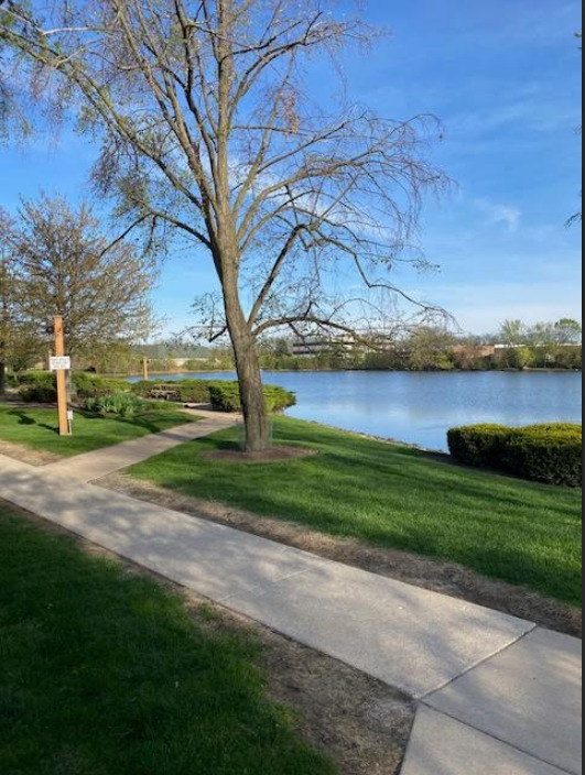 6174 KNOLL LANE Court Unit: 101