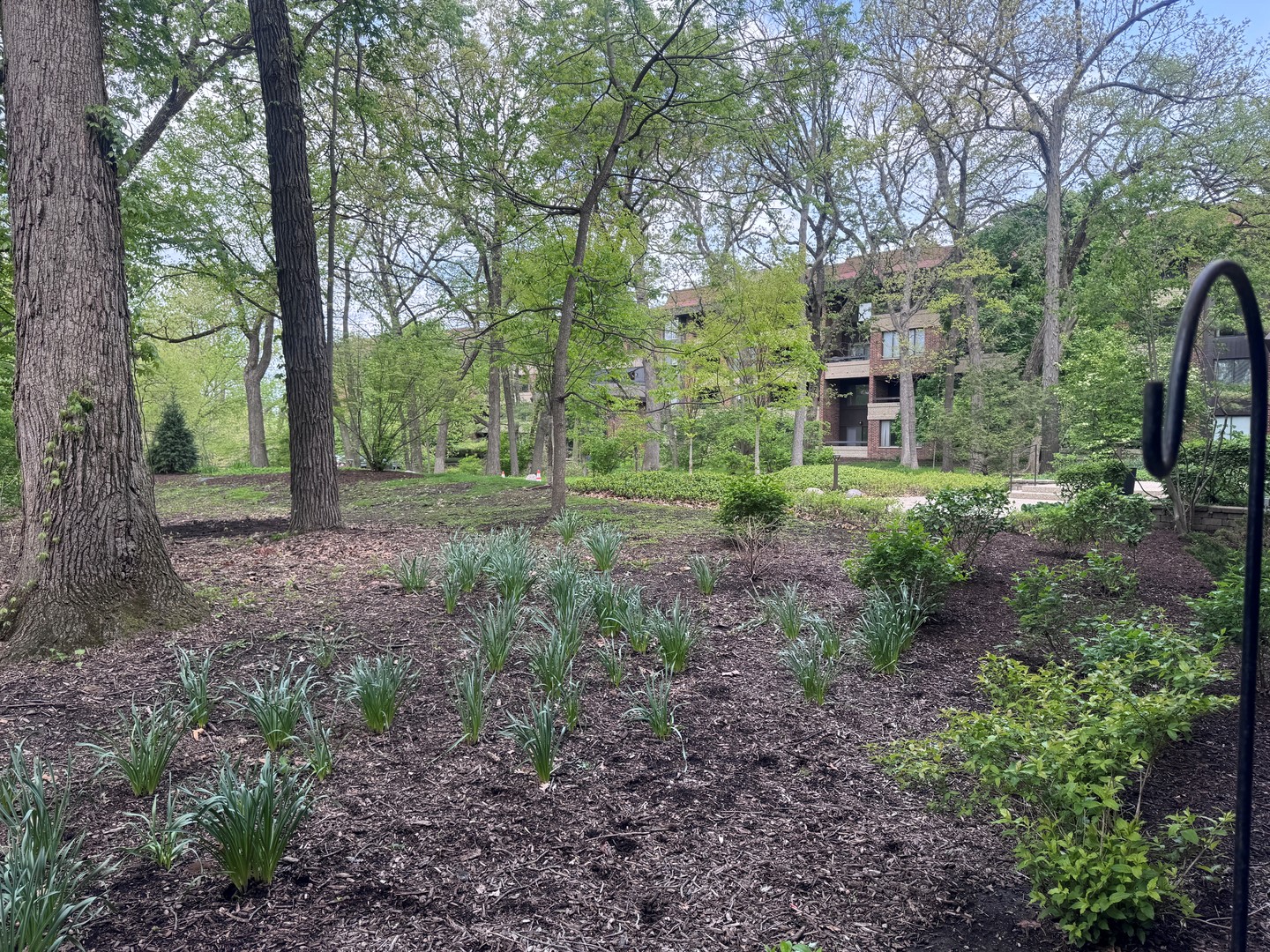 1401 Burr Oak Road Unit: 105B