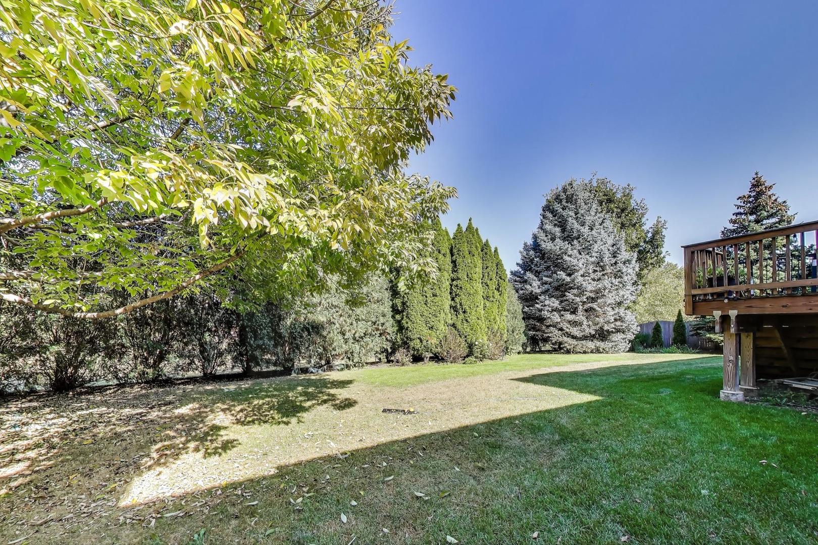 23058 Arbor Creek Drive