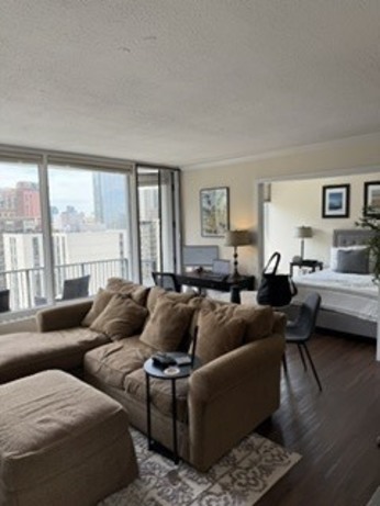 1400 N State Parkway Unit: 17E