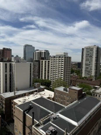 1400 N State Parkway Unit: 17E